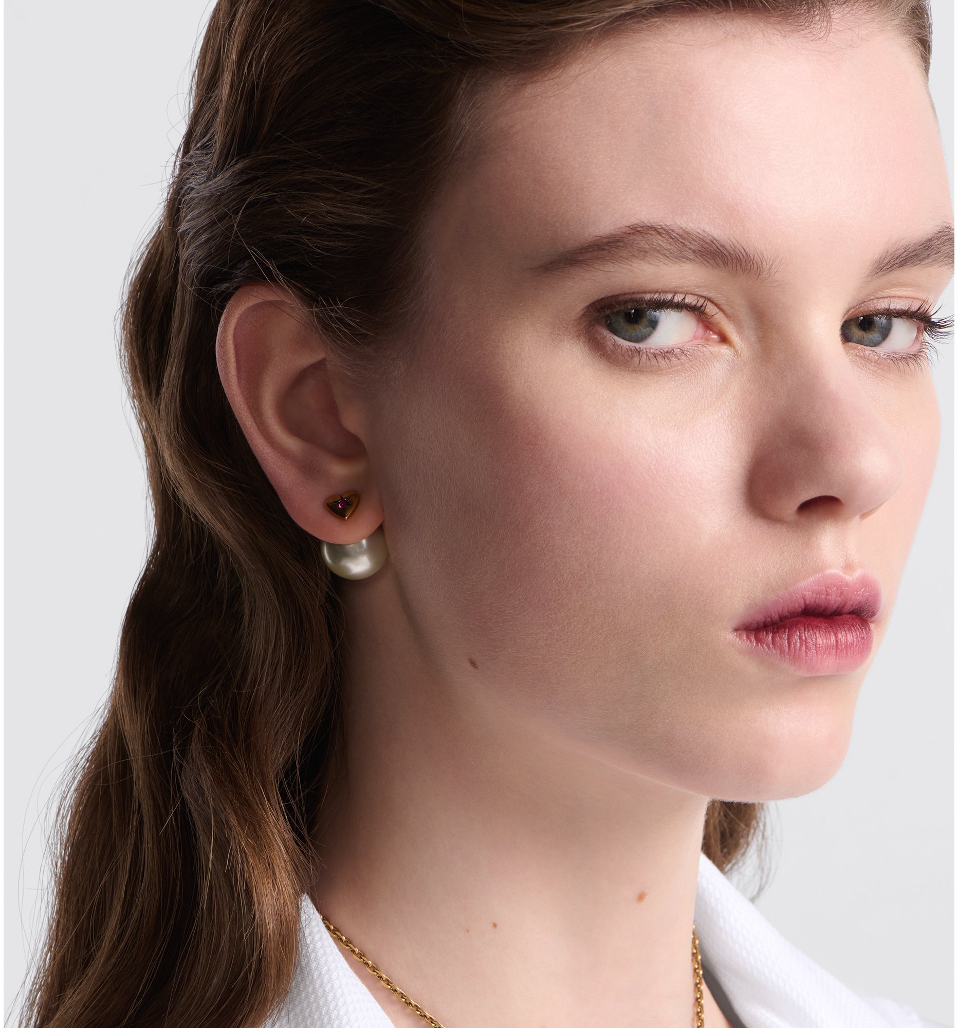 Dior tribales earrings price online
