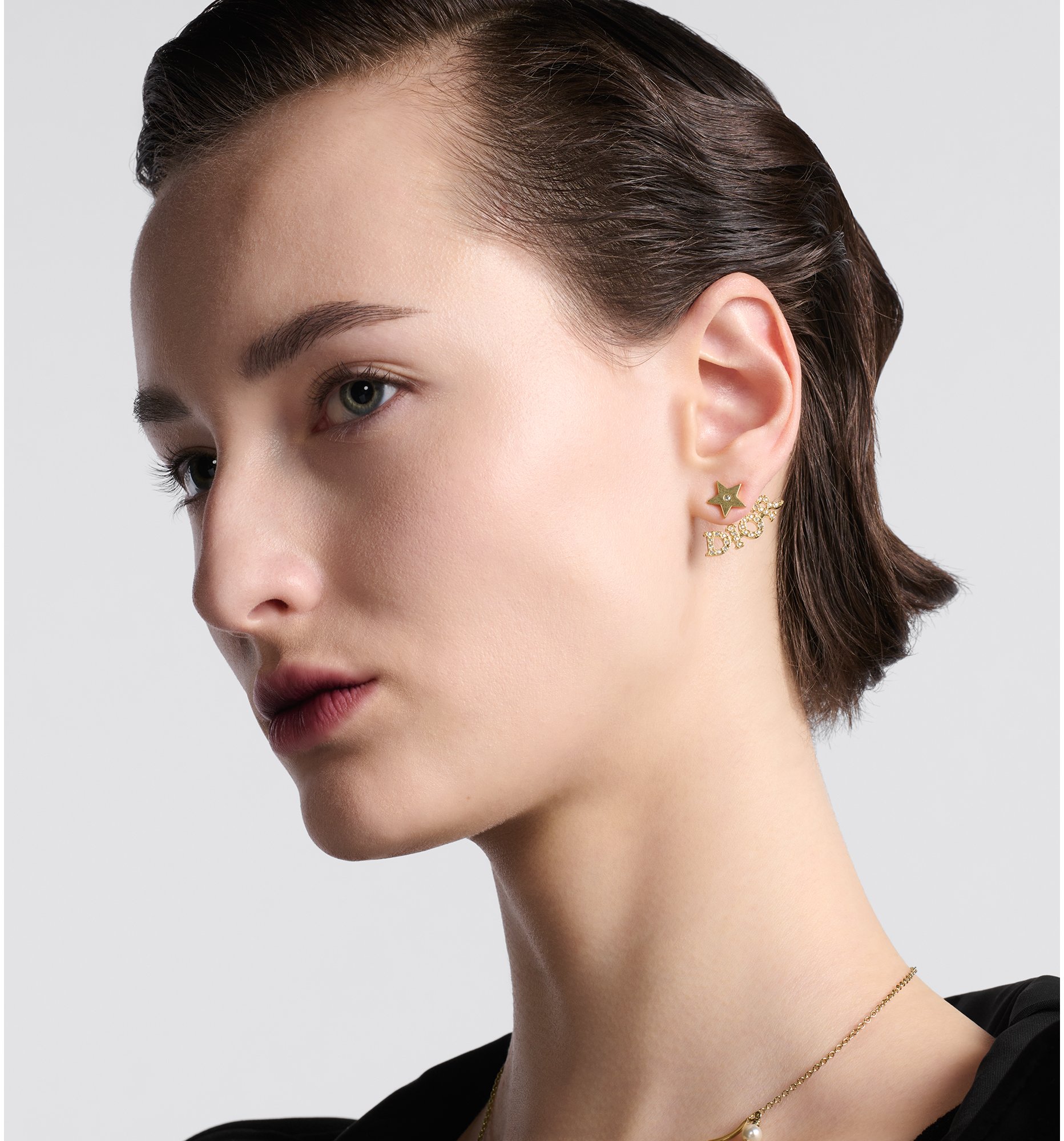 Dior evolution earrings clearance