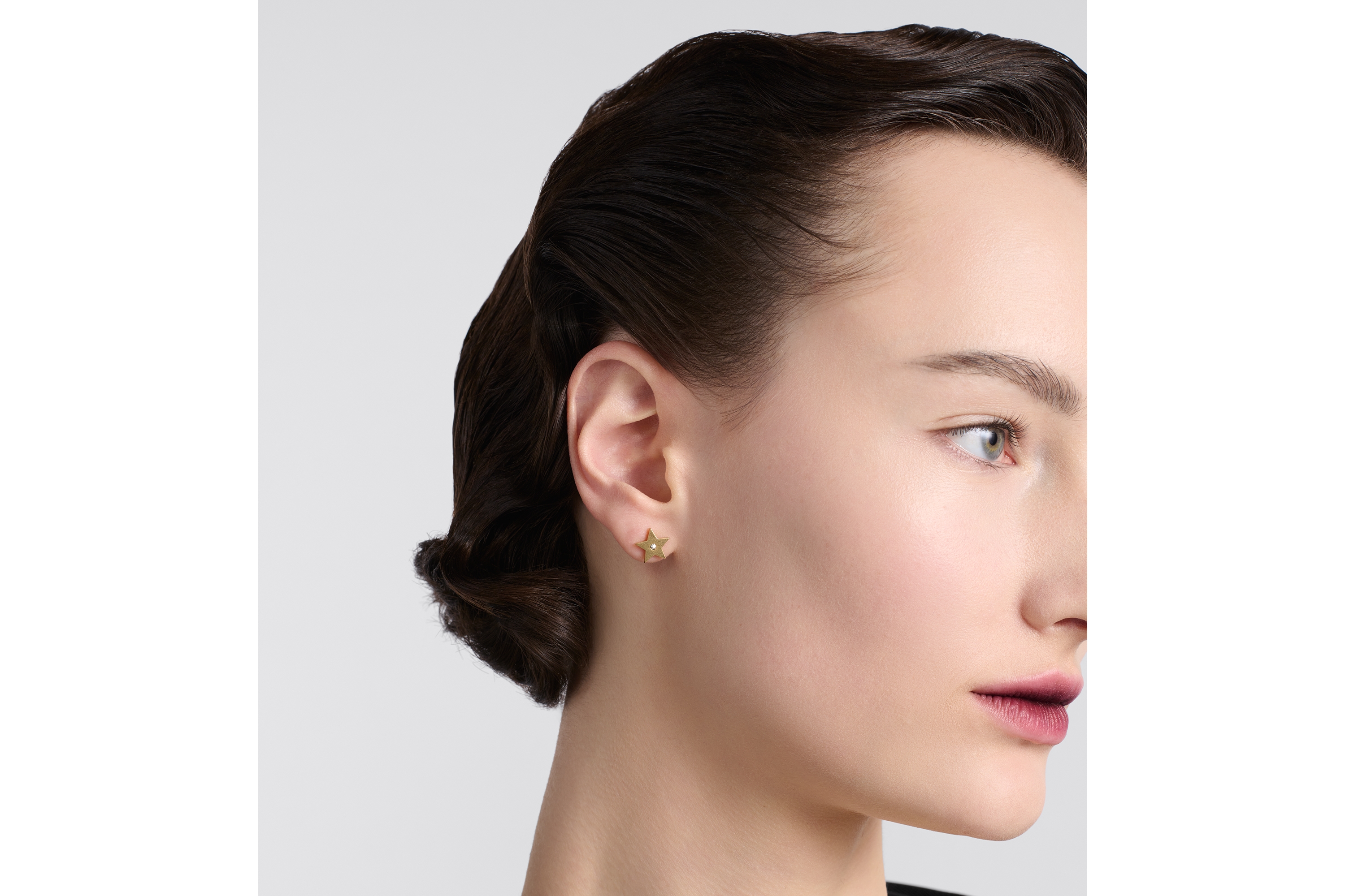 Dio(r)evolution Earrings