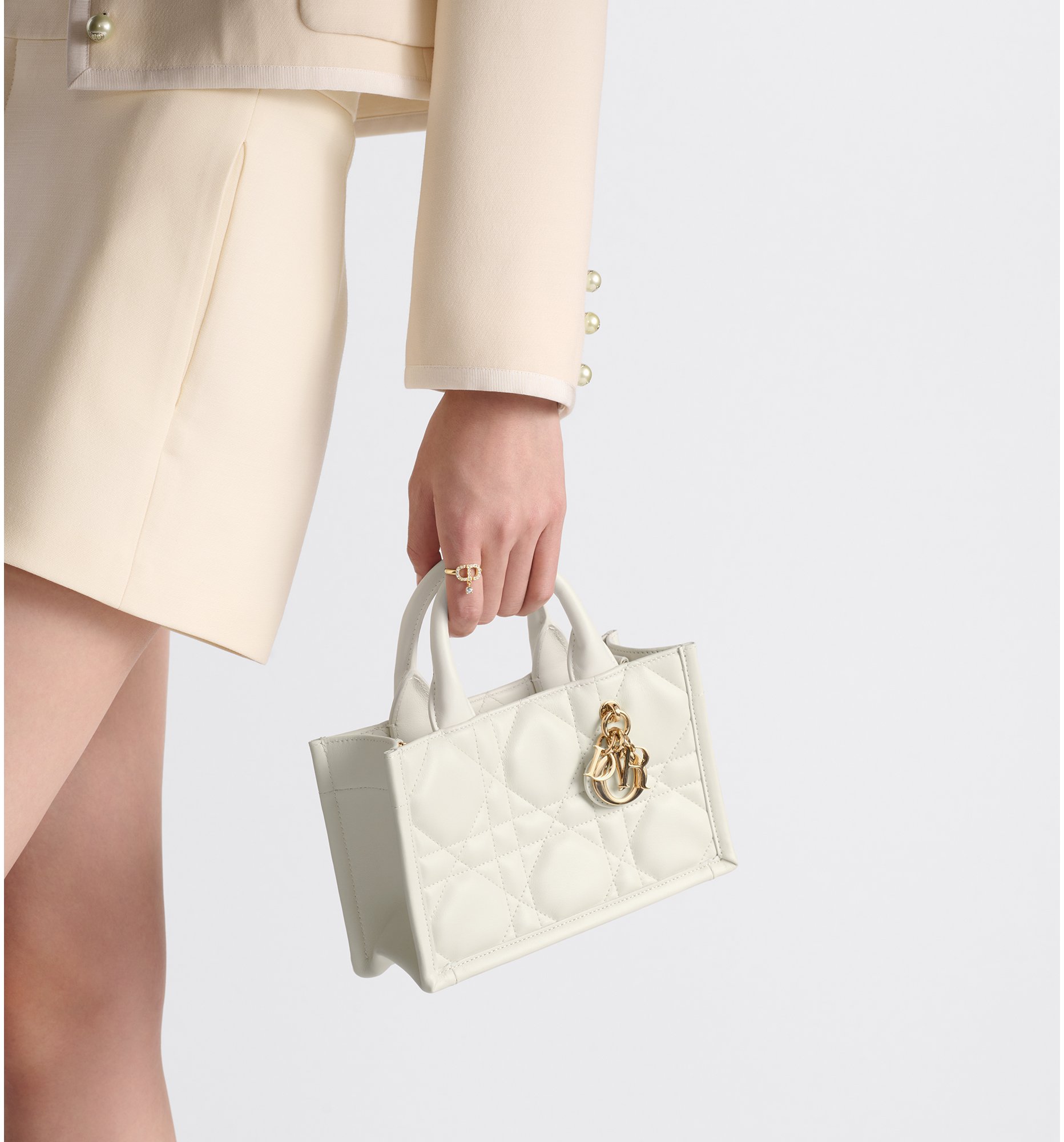 aria_look Mini Dior Book Tote Detailed view