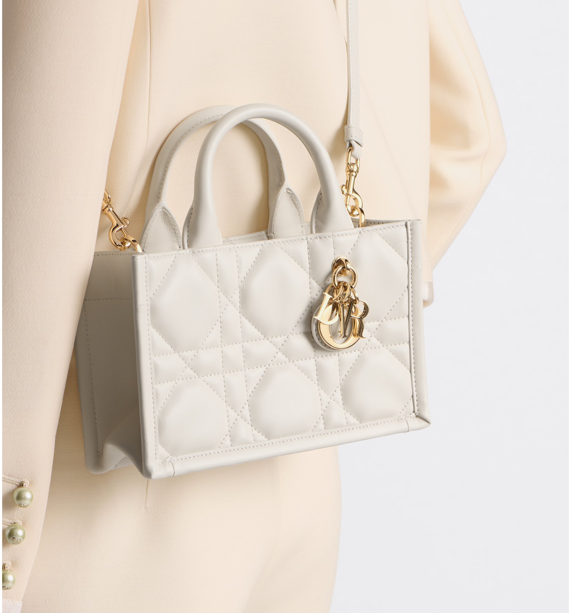 aria_look Mini Dior Book Tote
