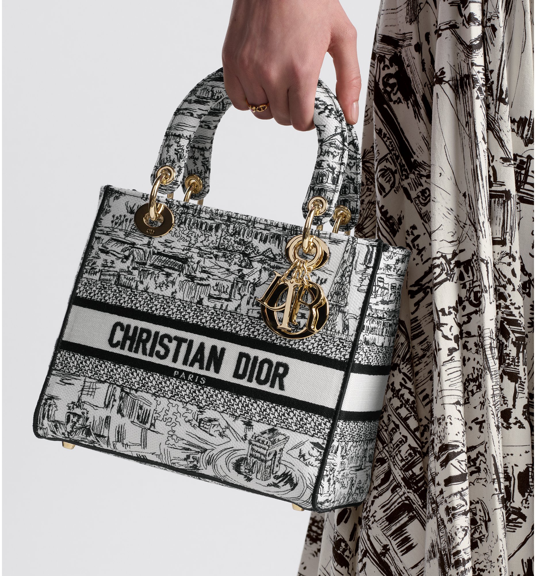 Mittelgroße Lady D-Lite Tasche Paris Allover Stickerei in Weiß und 