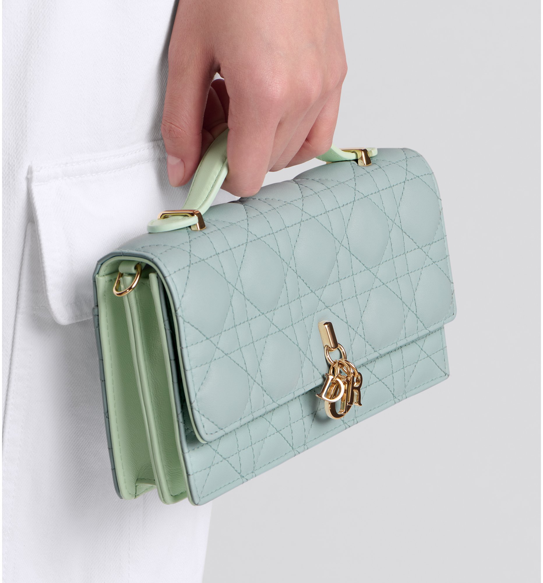 Dior celestial bag shop