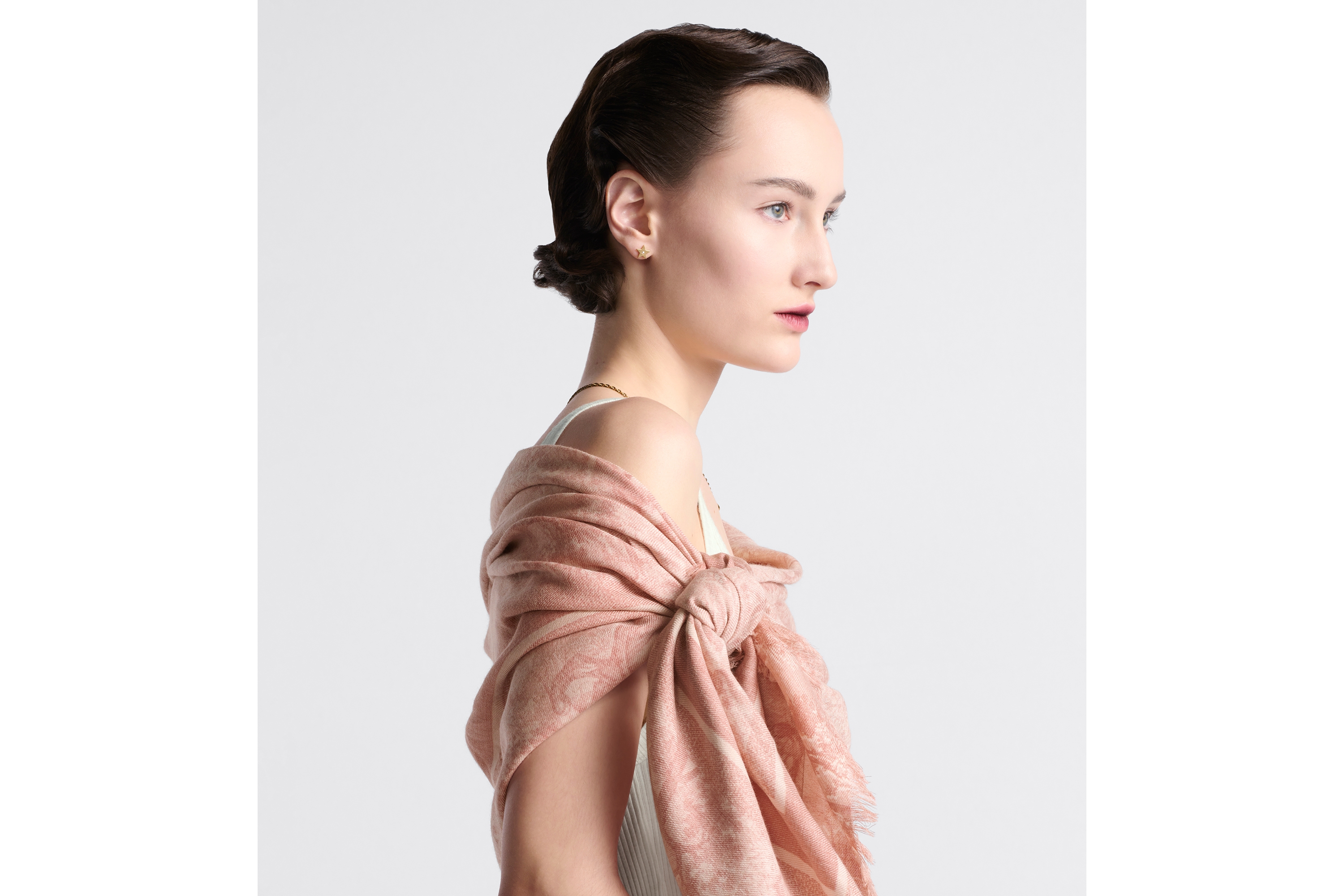 Look Toile de Jouy Sauvage Shawl Rose des Vents Wool and Silk E06