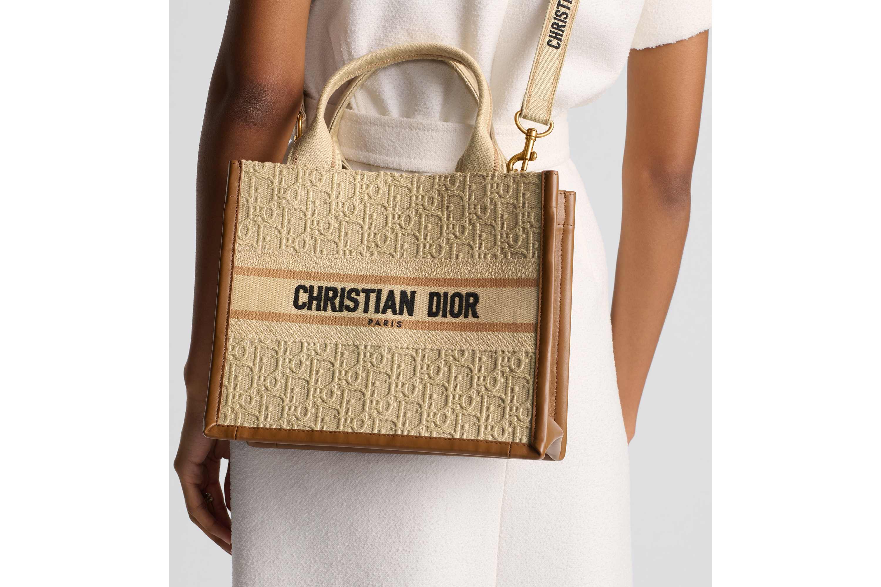 Small Dior Book Tote