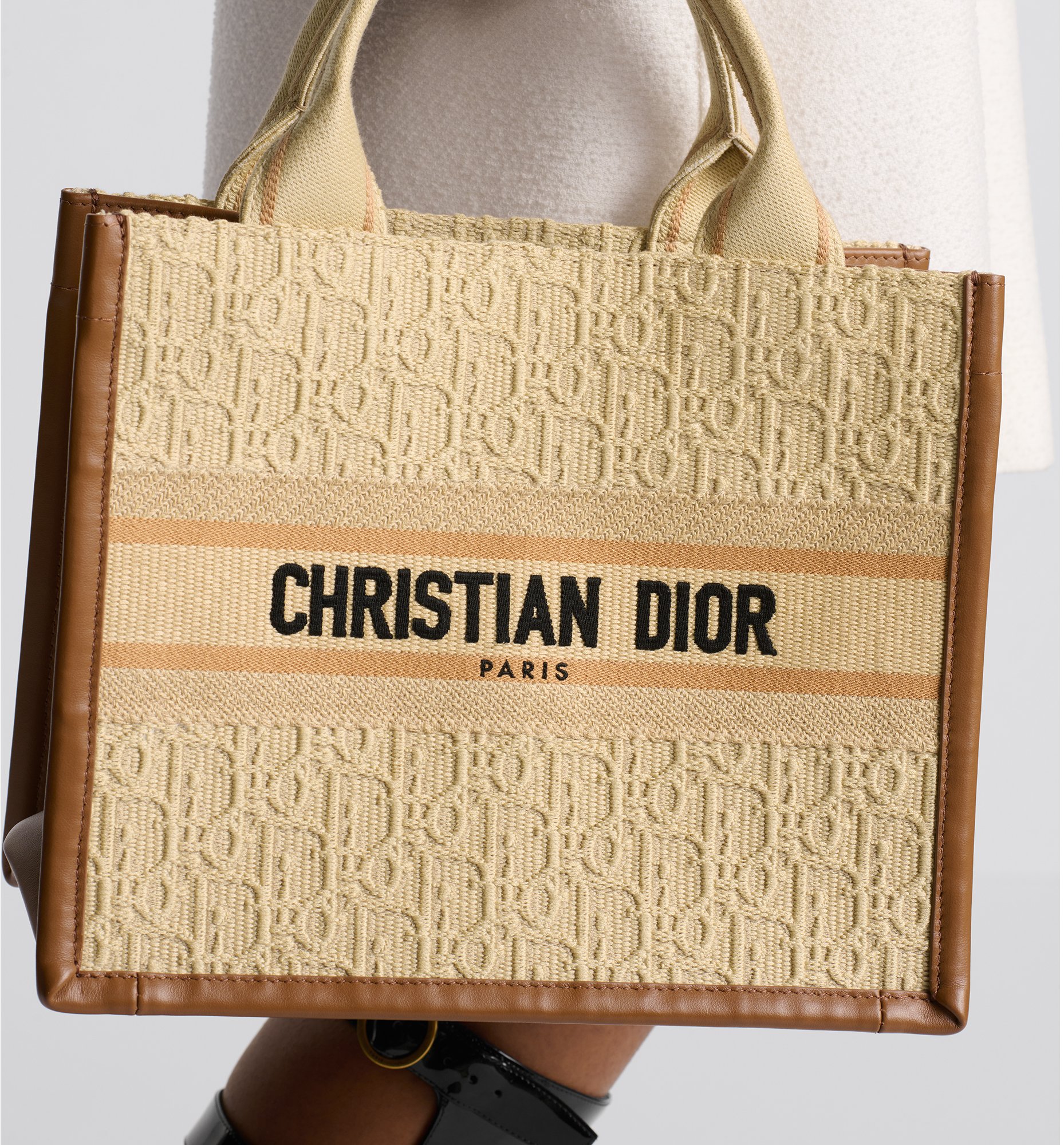 aria_look Small Dior Book Tote