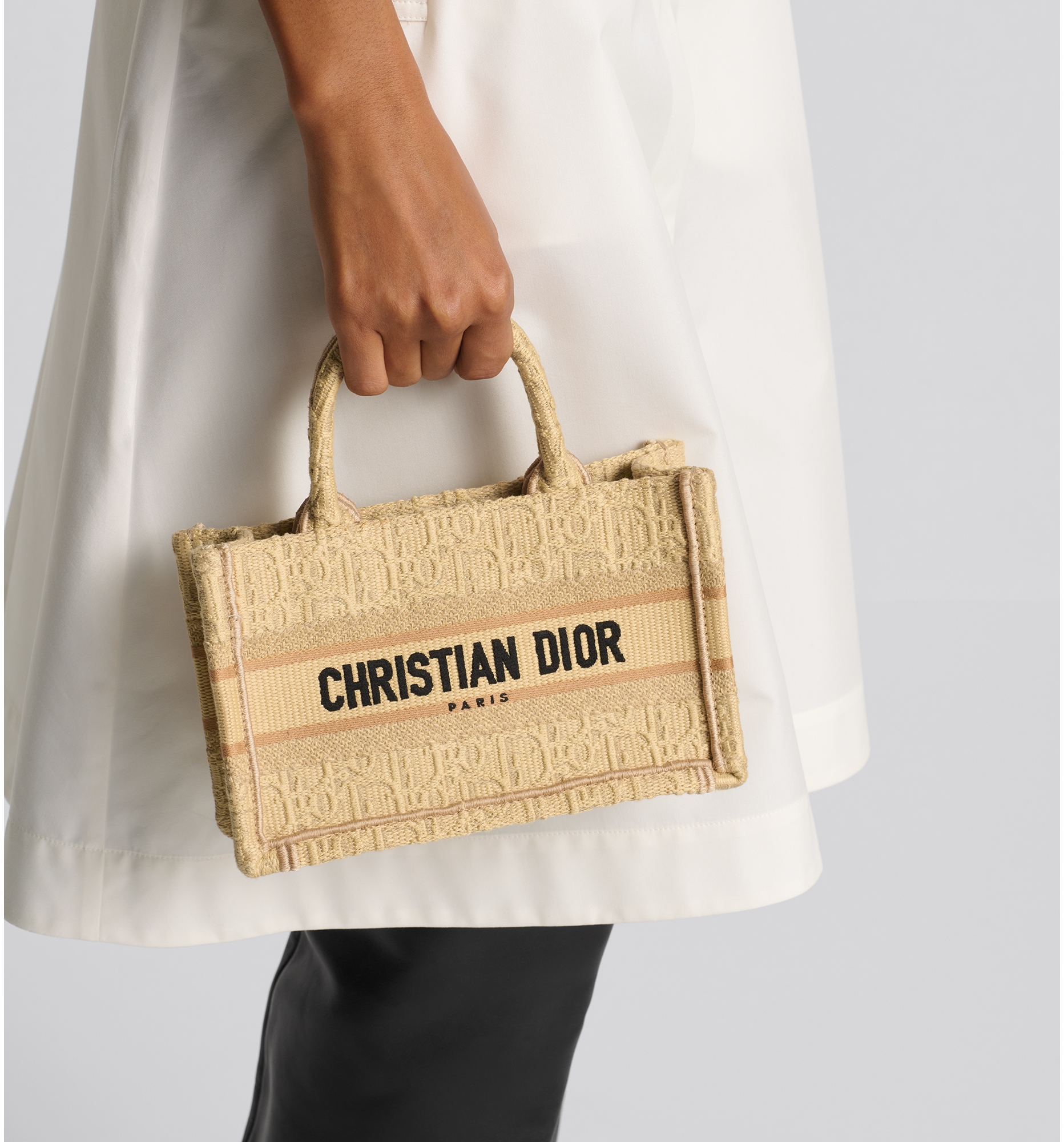 Dior Book Tote