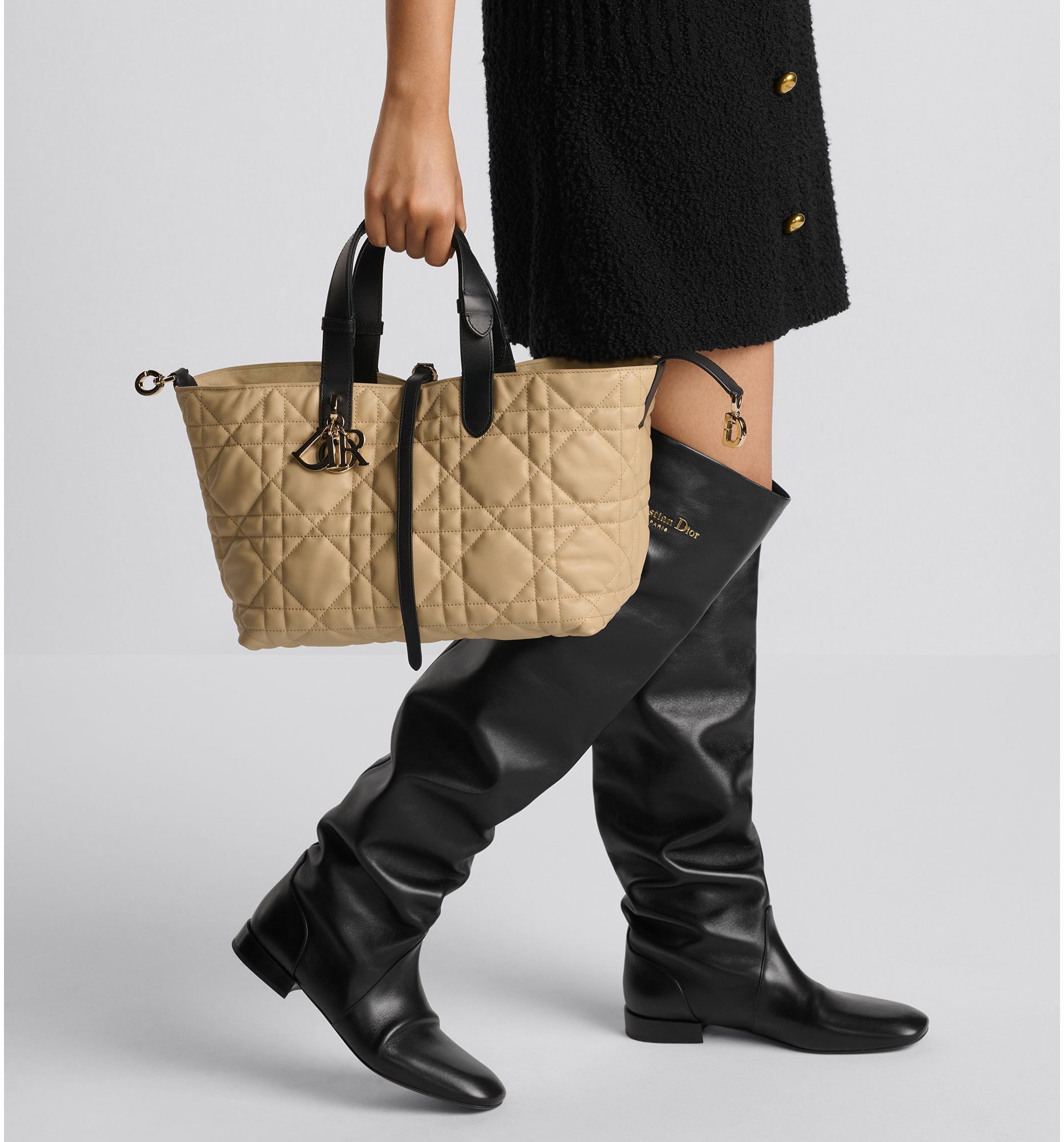 aria_look Medium Dior Toujours Bag Detailed view
