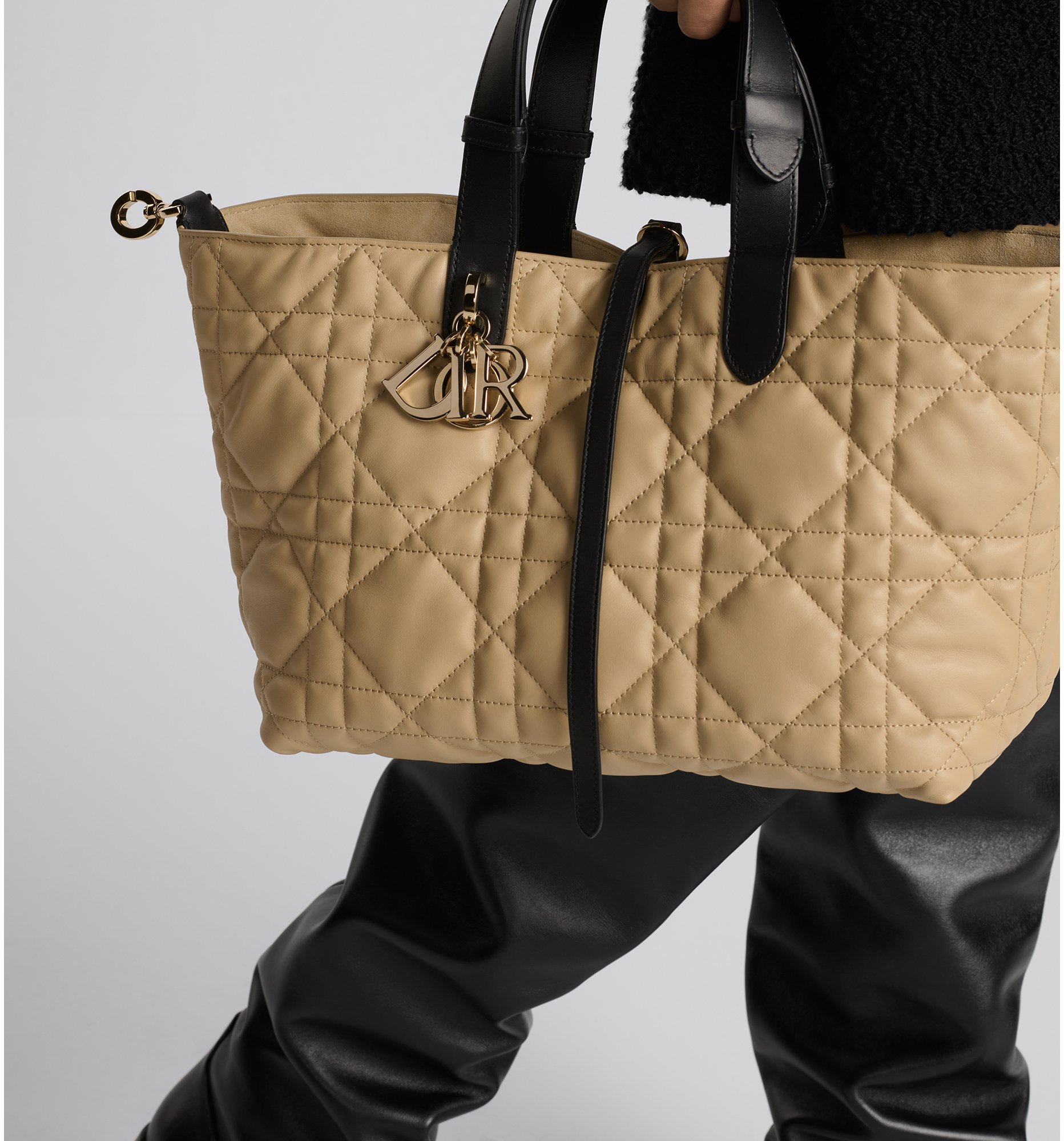 aria_look Medium Dior Toujours Bag