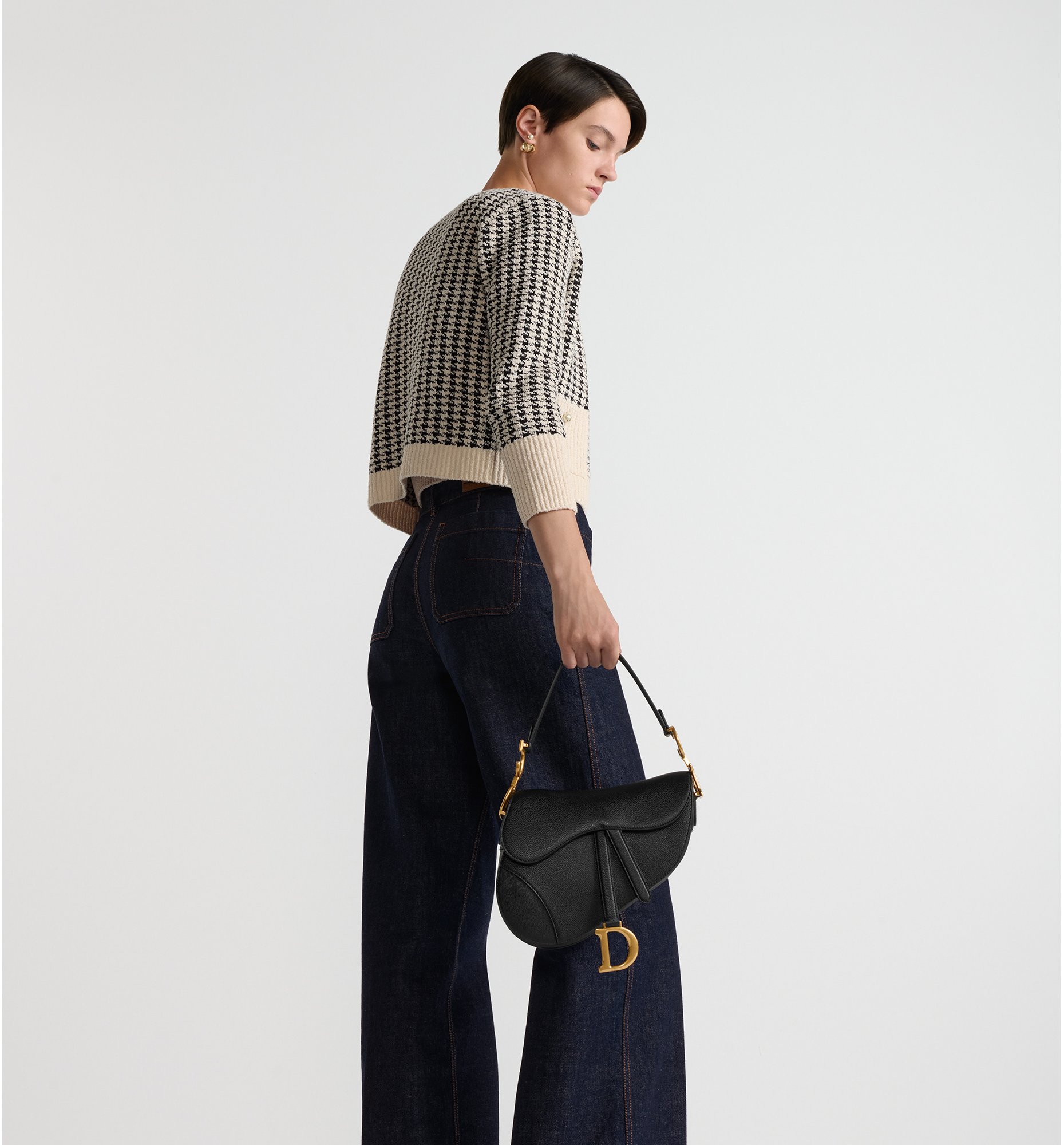 Dior saddle calfskin bag shop