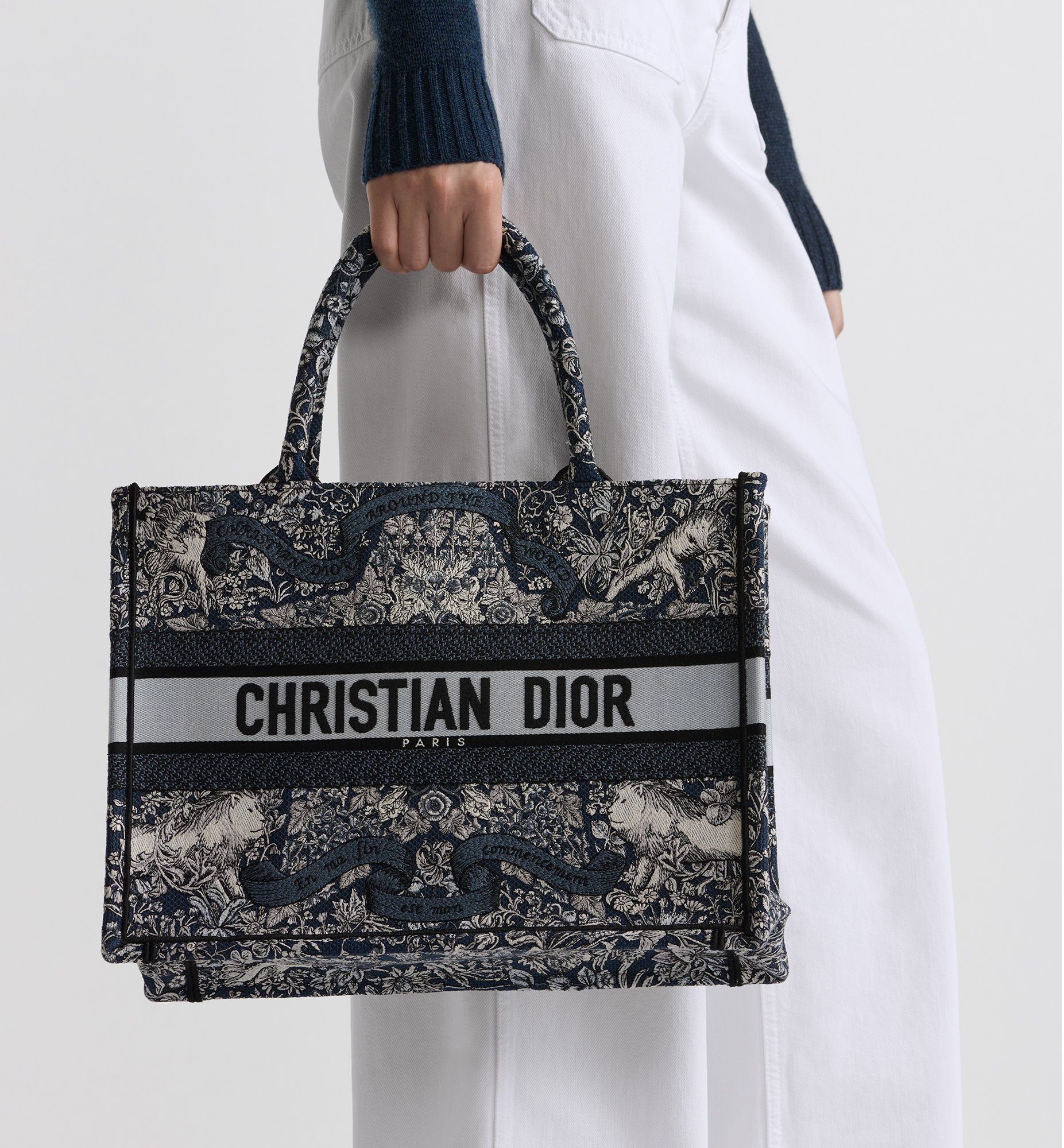 aria_look Medium Dior Book Tote Detailed view