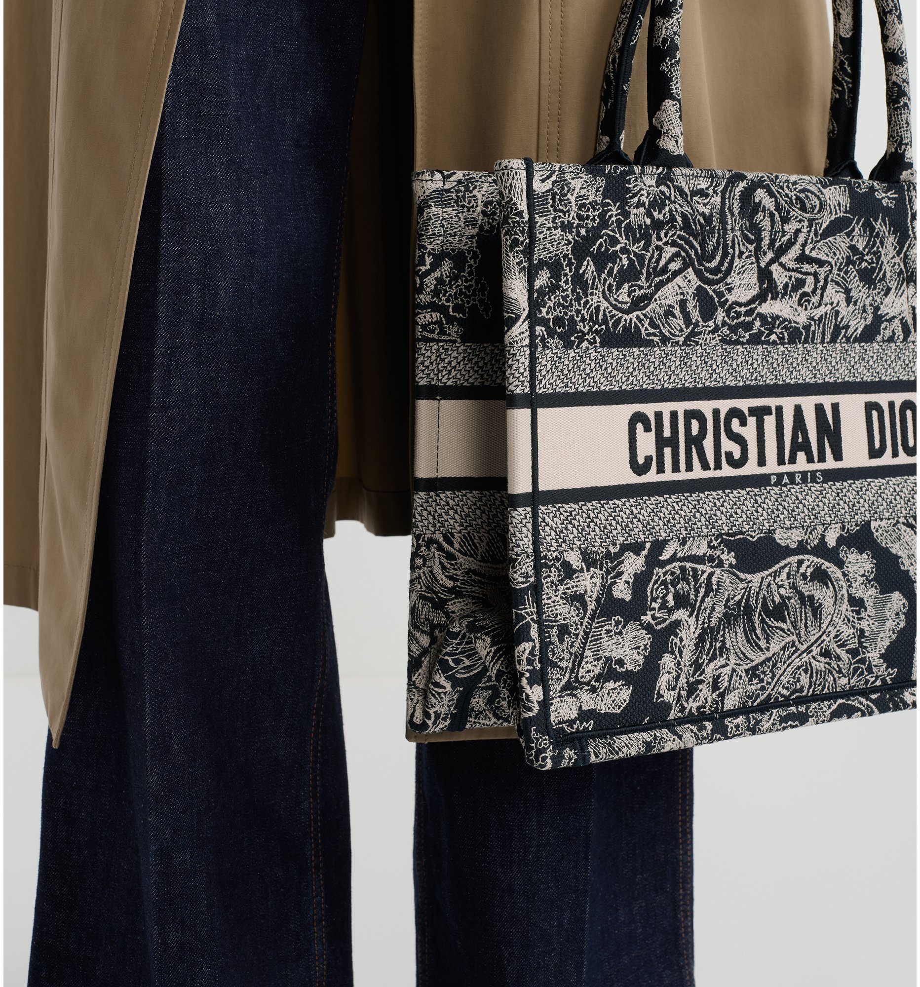 Dior toile bag sales