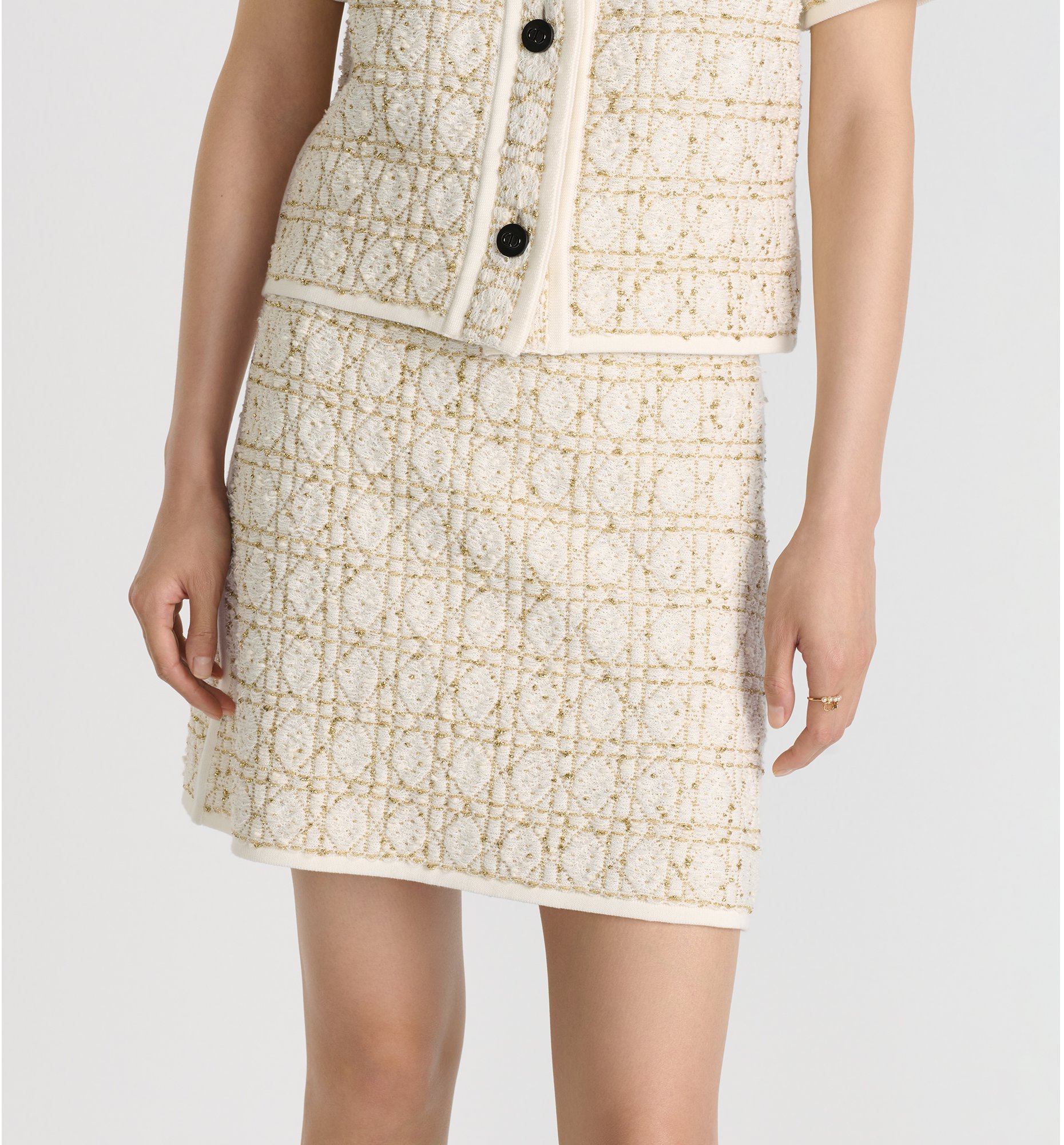 aria_look Dior Or Cannage Miniskirt Detailed view