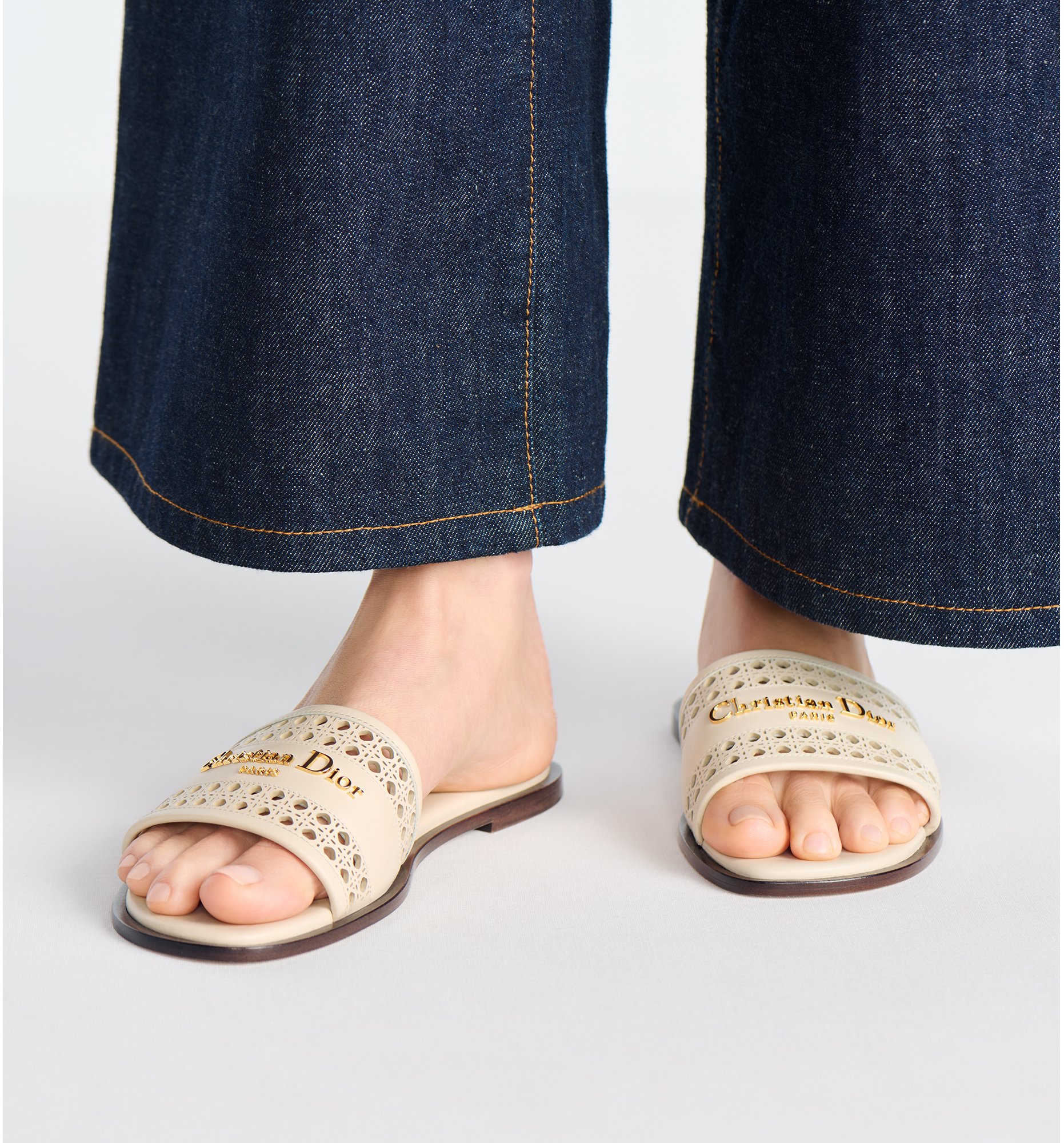 aria_look Mule D-Lane