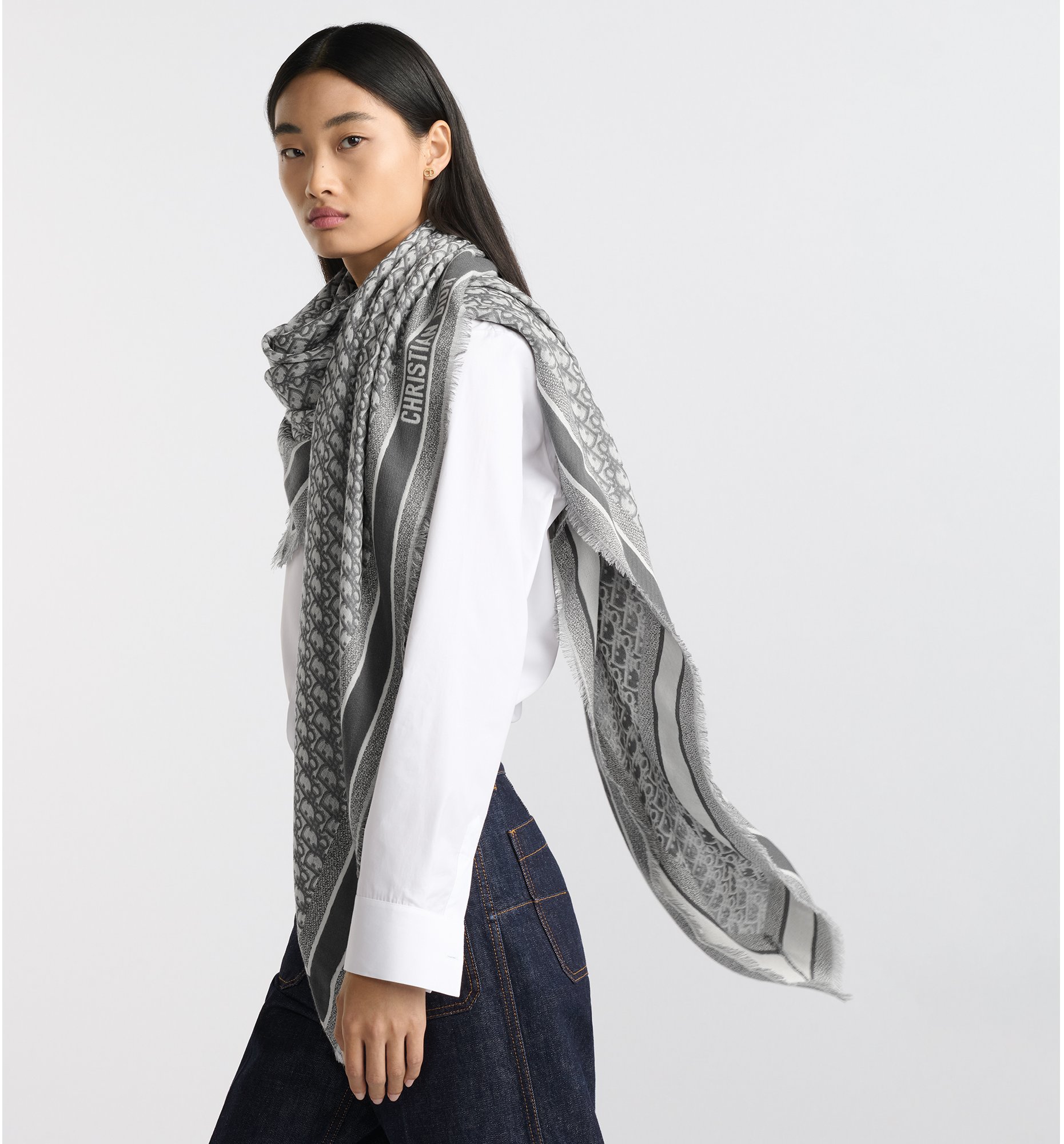 aria_look Dior Oblique Shawl Three quarter back view