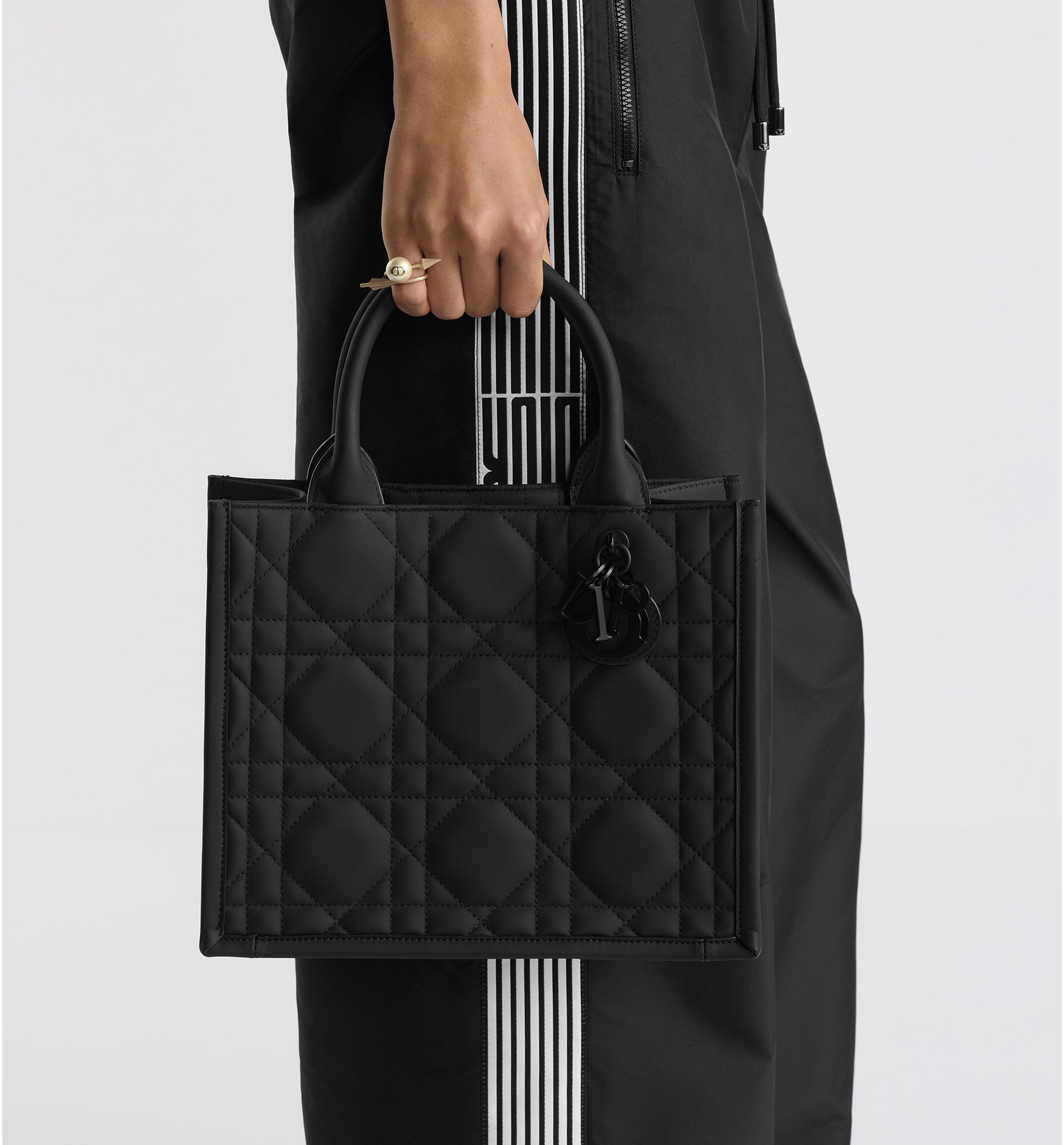 aria_look Dior Book Tote 스몰 백 aria_detailedView