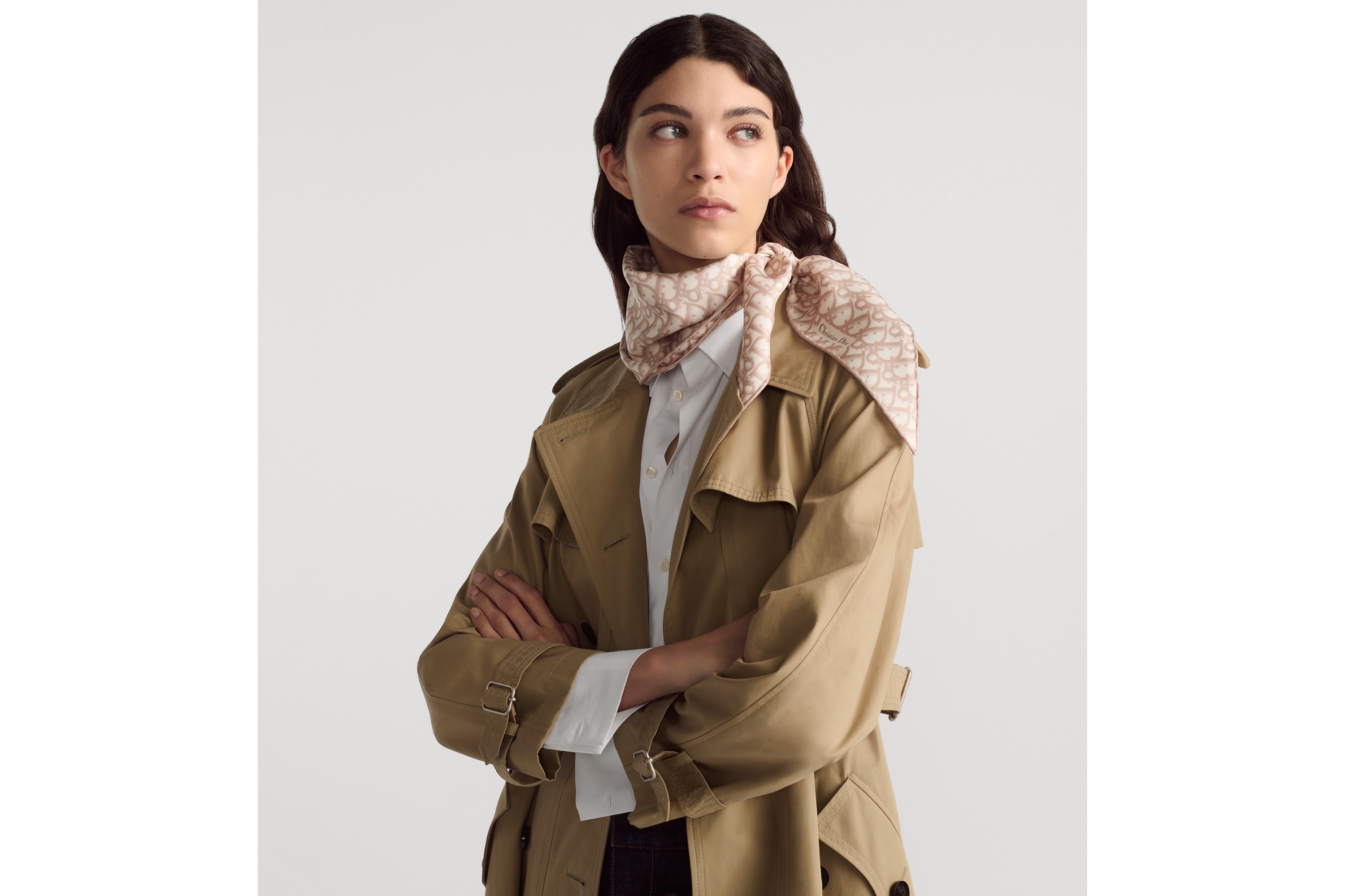 Look Dior Oblique Dior Diamond Rose des Vents Silk Twill E04