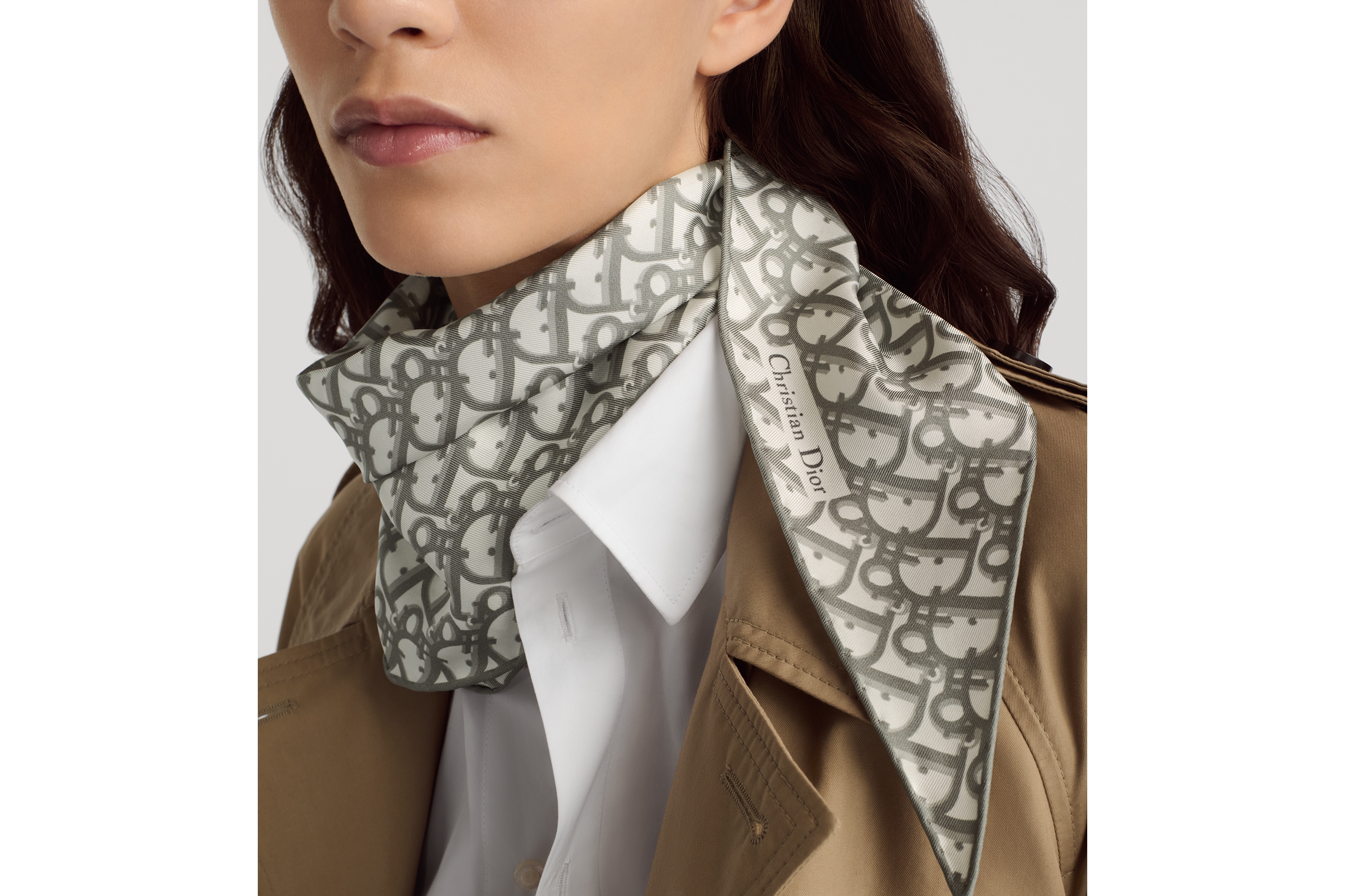 look_image_alt_prefix Dior Diamond Dior Oblique Sarga de seda gris E12