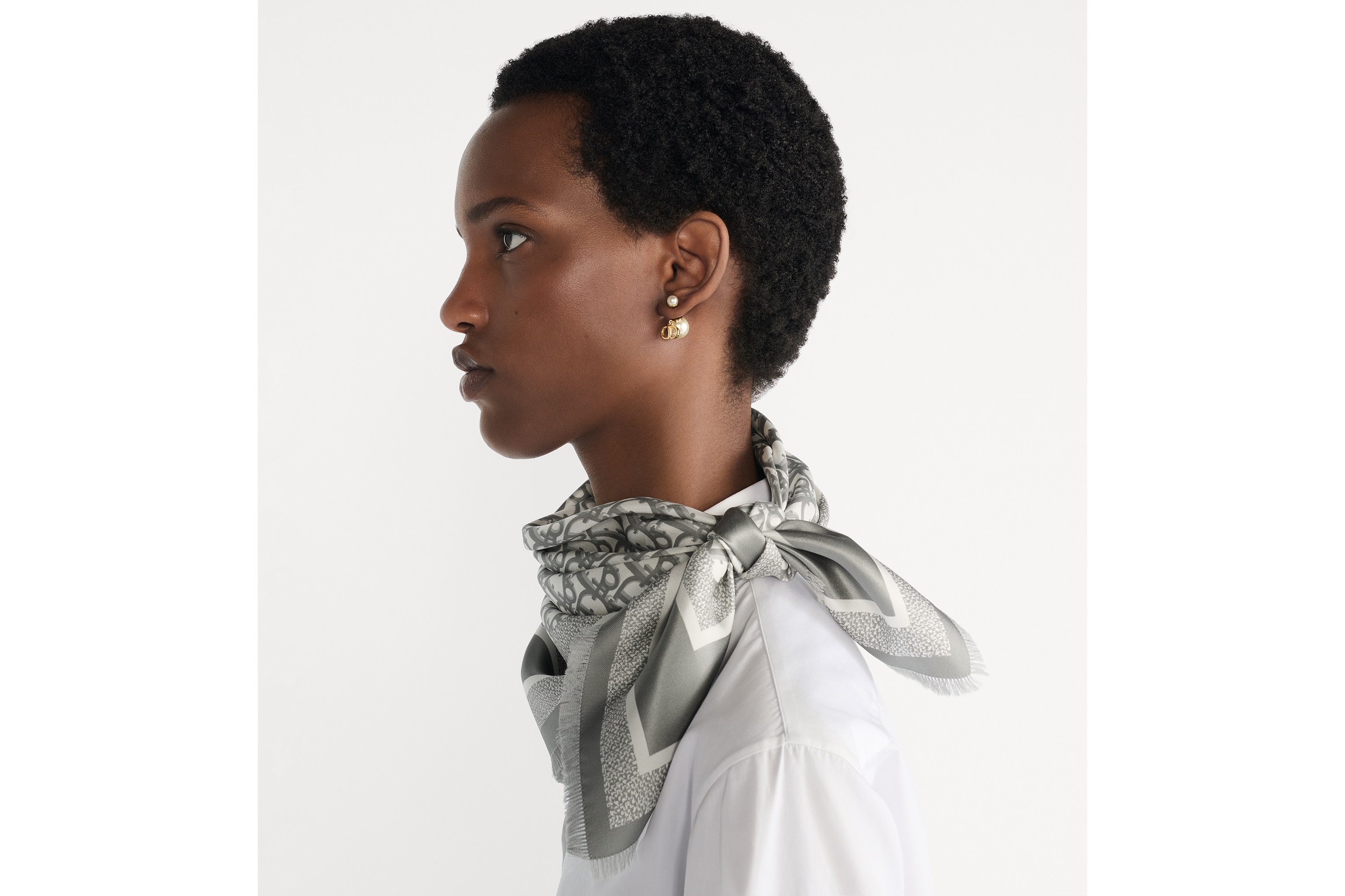 Look Dior Oblique Diortwin 70 Square Scarf Gray Silk Twill E07