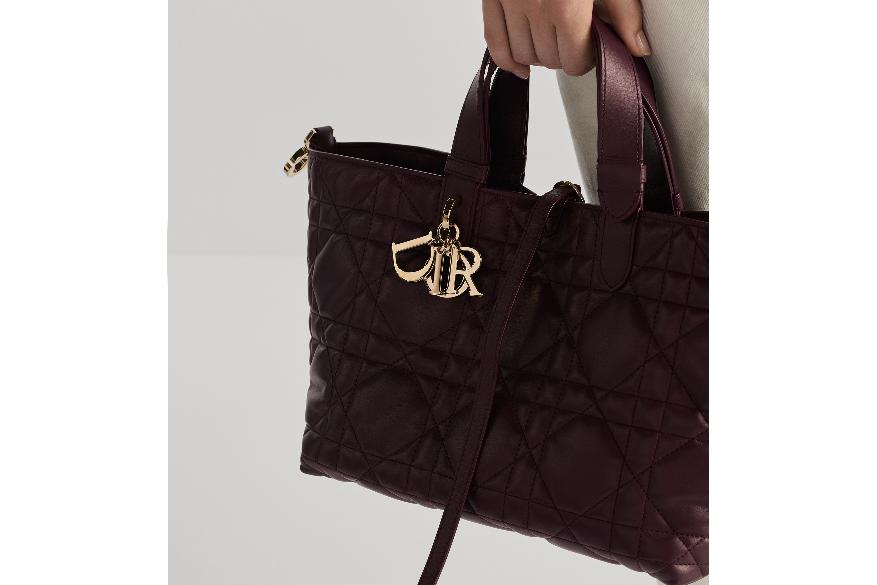 look_image_alt_prefix Dior Toujours バッグ ミディアム マクロカナージュ カーフスキン E11