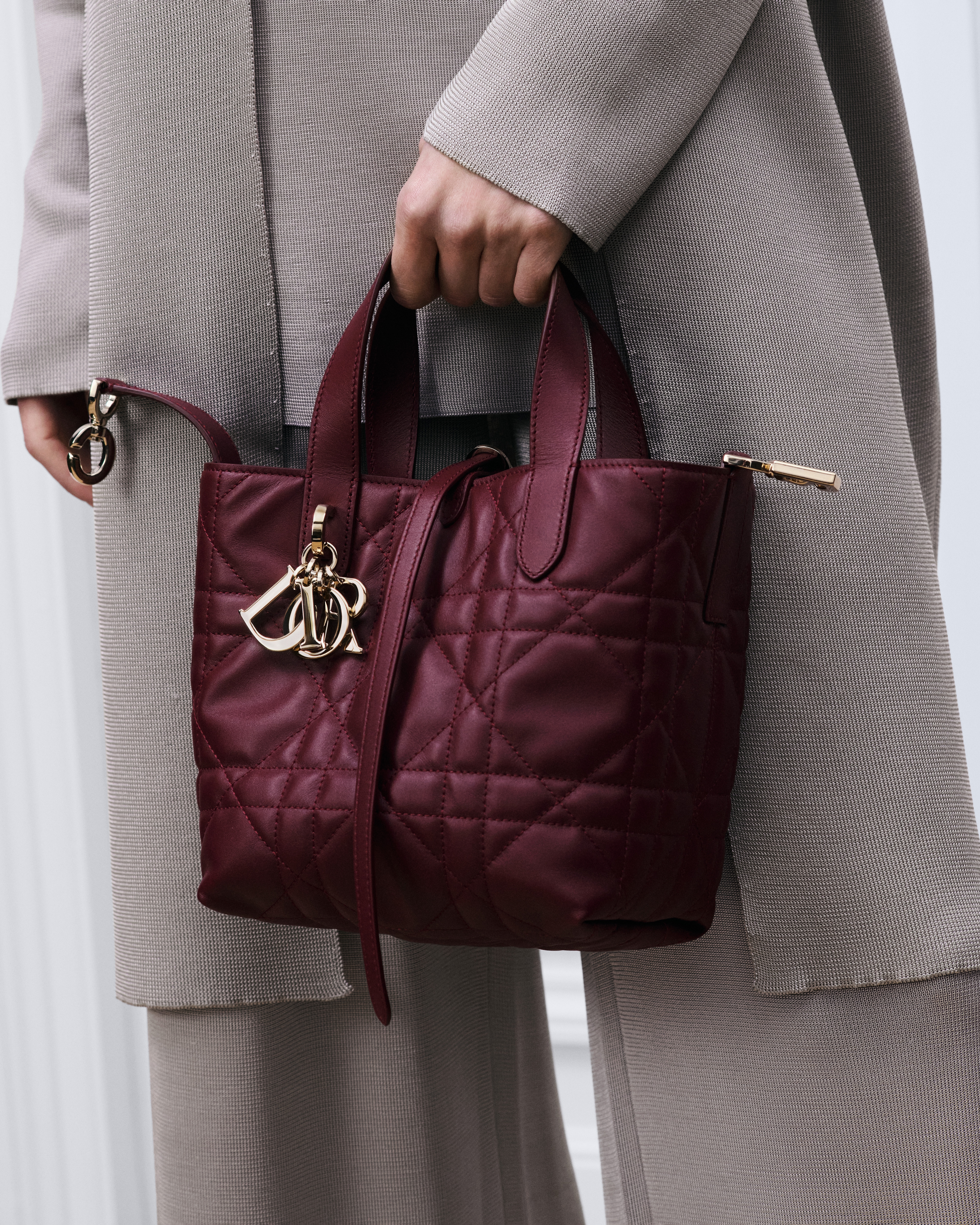 Kleine Dior Or Dior Toujours Tote Bag im Hochformat