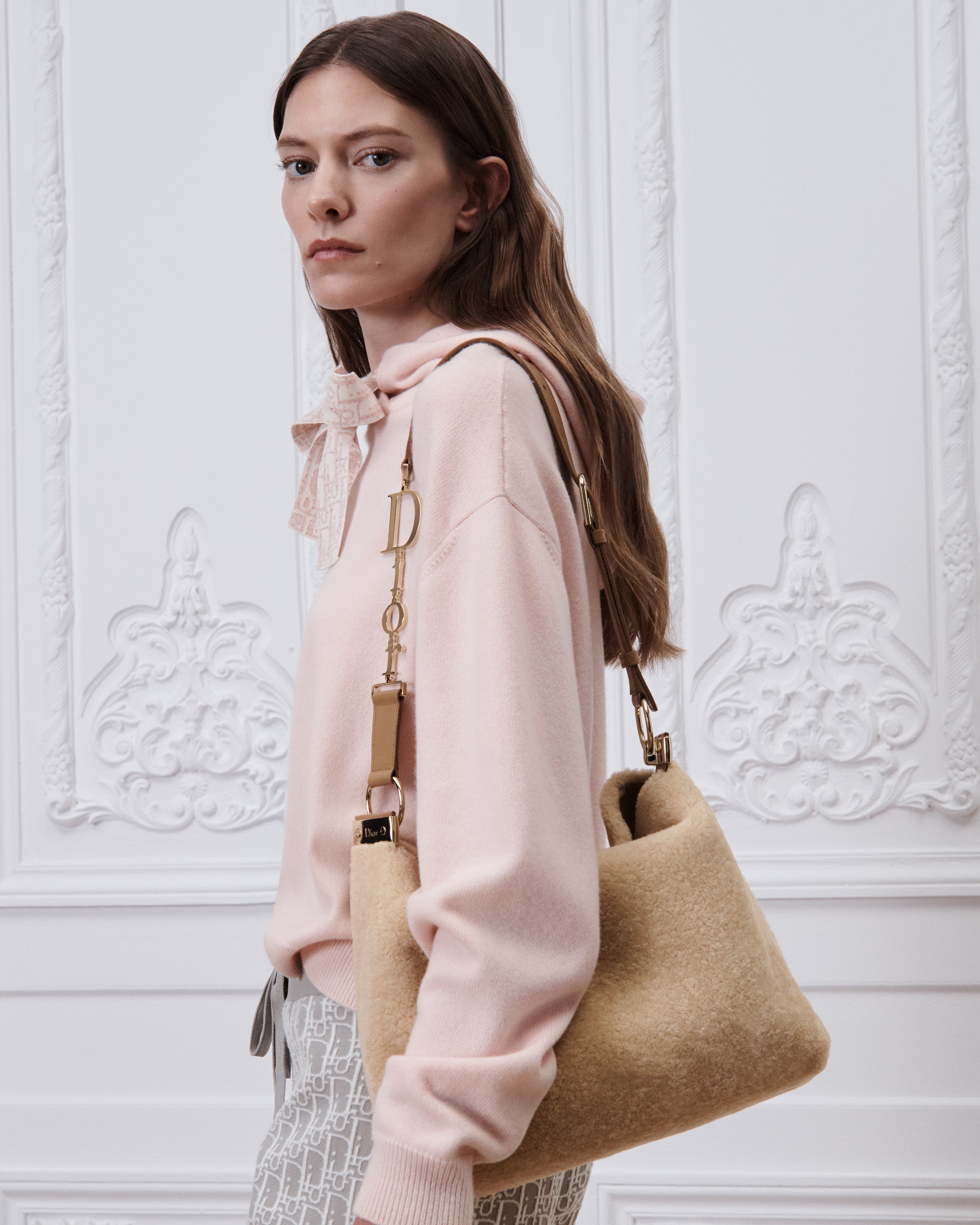 DiorAlps Medium Diorly Bag
