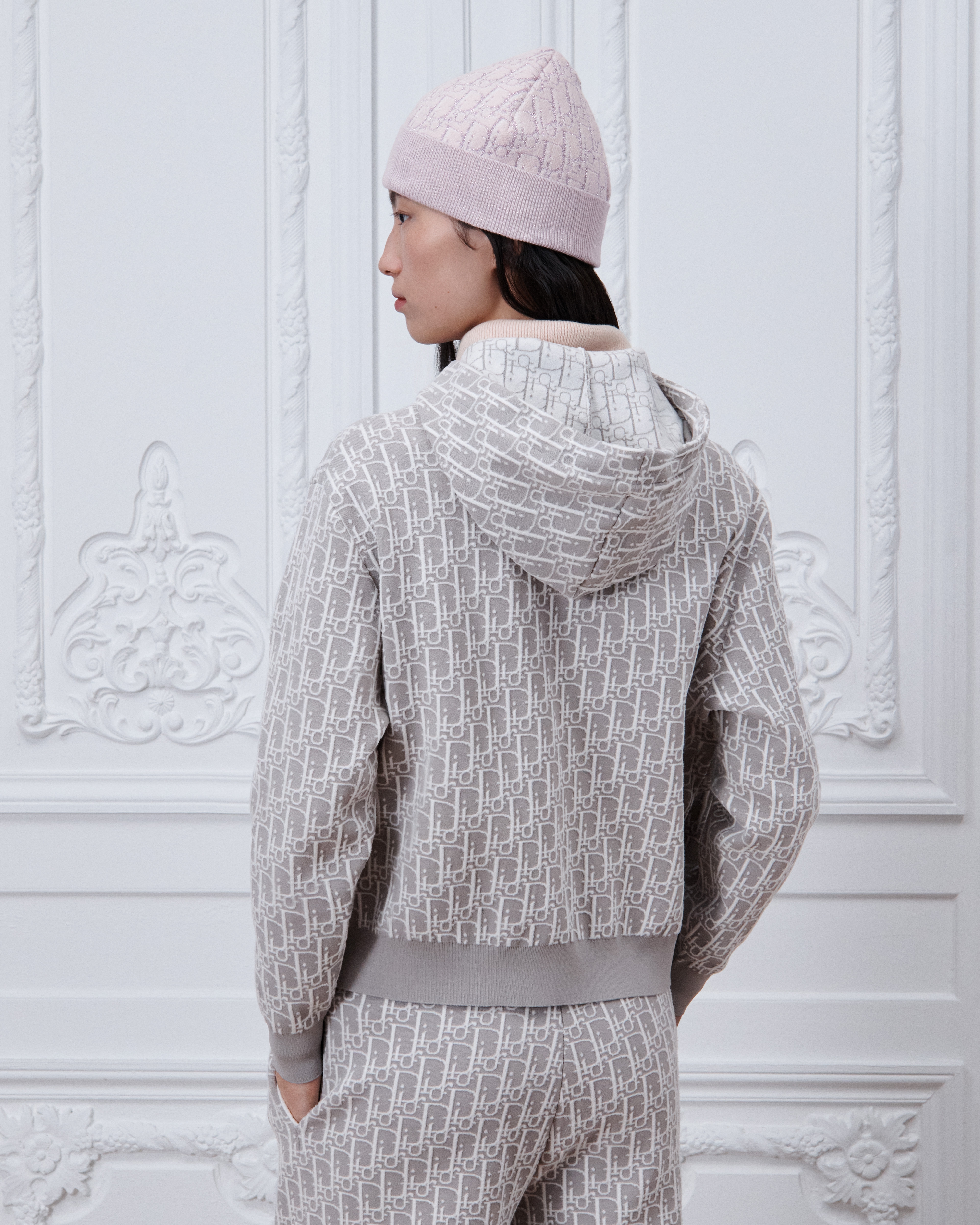 DiorAlps Dior Oblique Hooded Zipped Cardigan