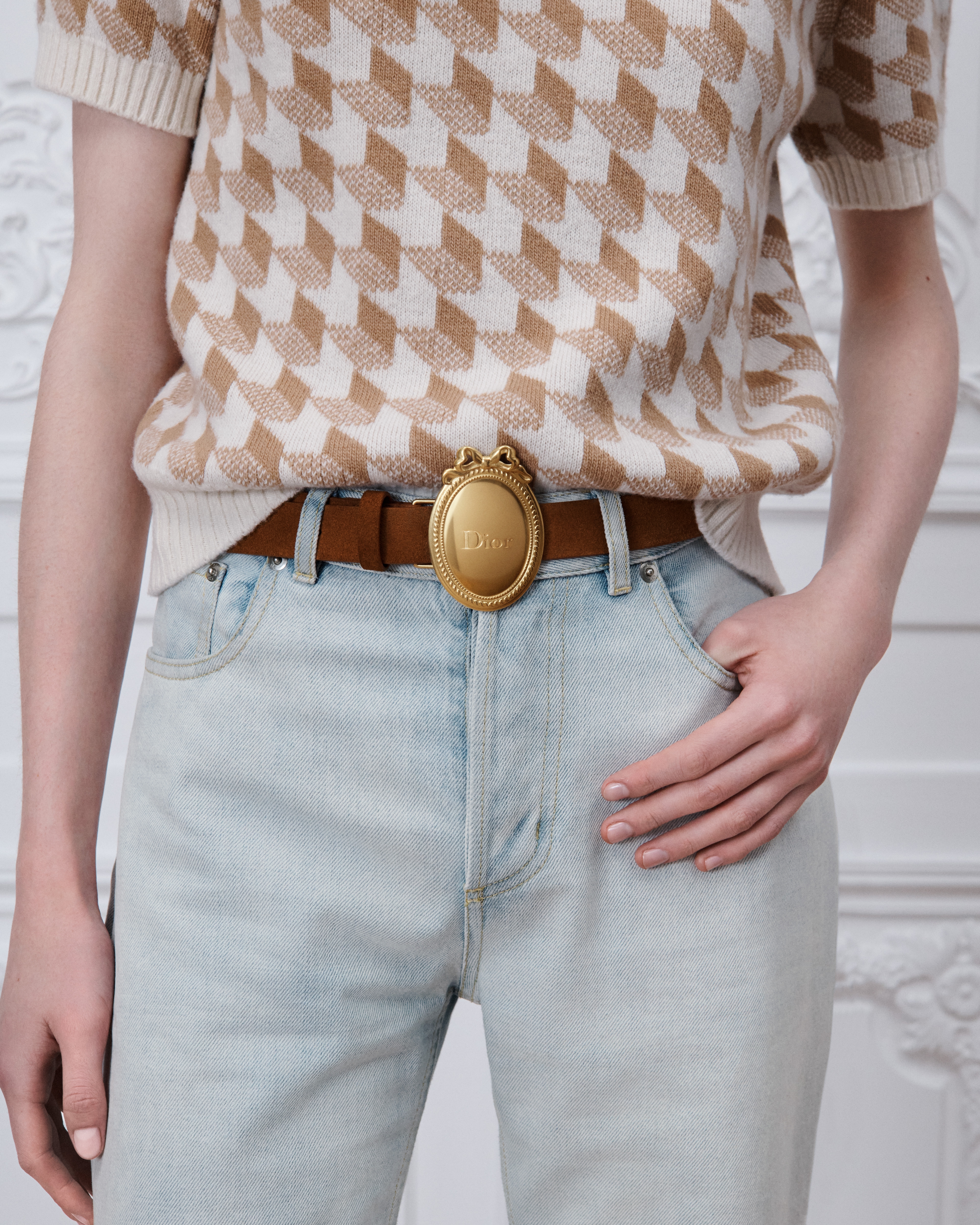 Dior Médaillon Belt Marron Bobby Suede Calfskin, 25 MM E13