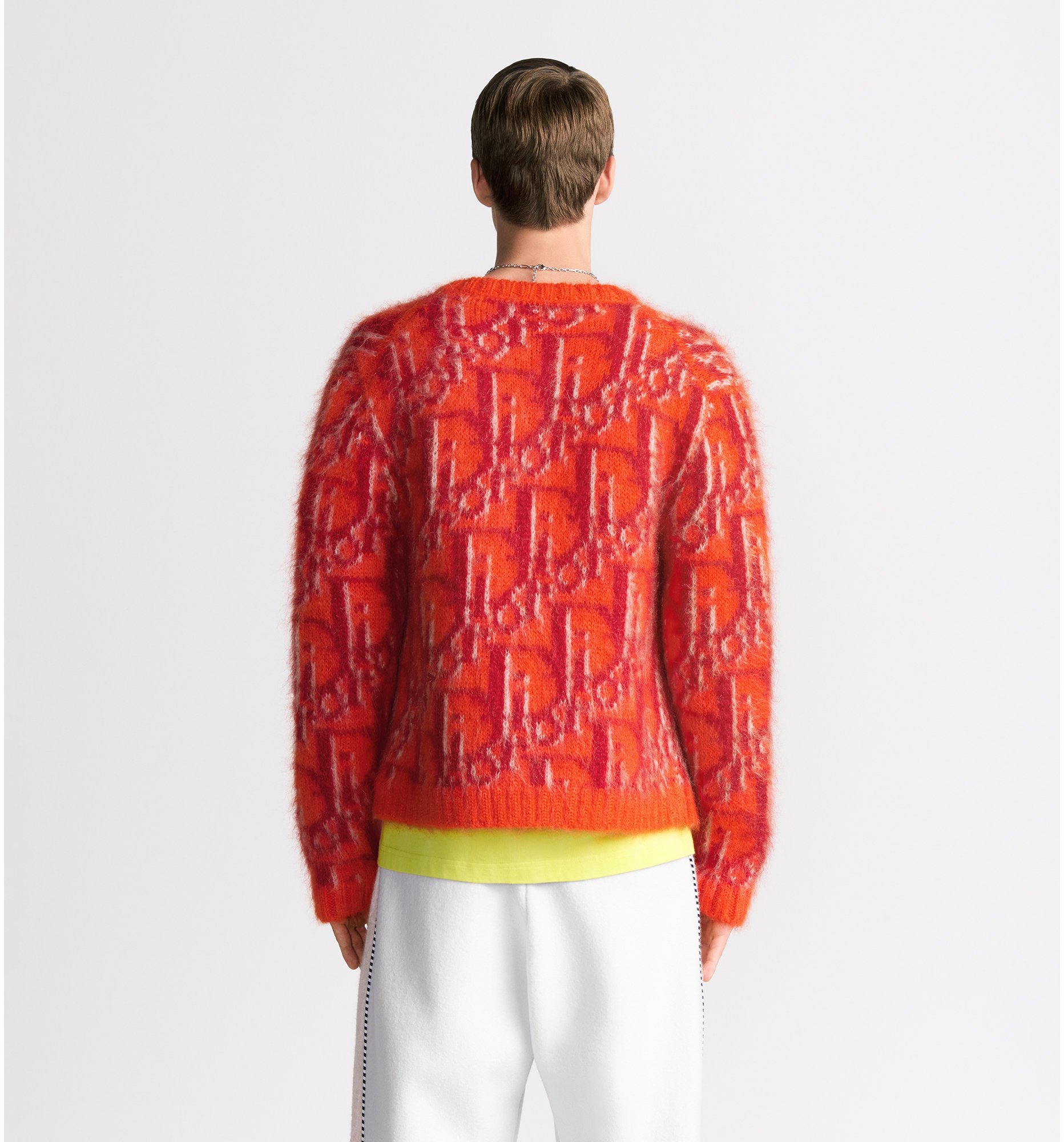 aria_look Dior Oblique Cardigan Three quarter closed view