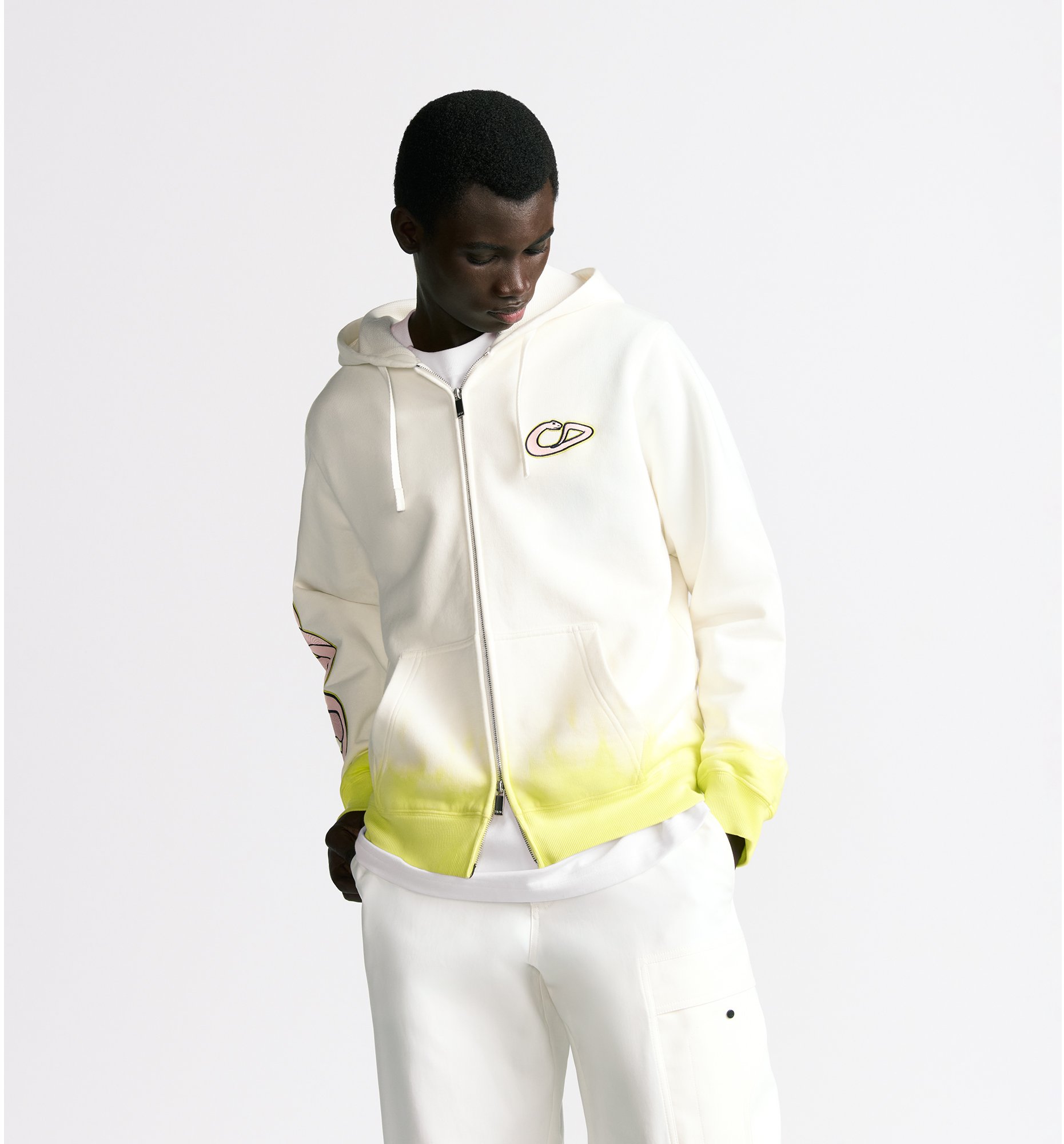 DIOR AND KAWS Hooded Sweatshirt