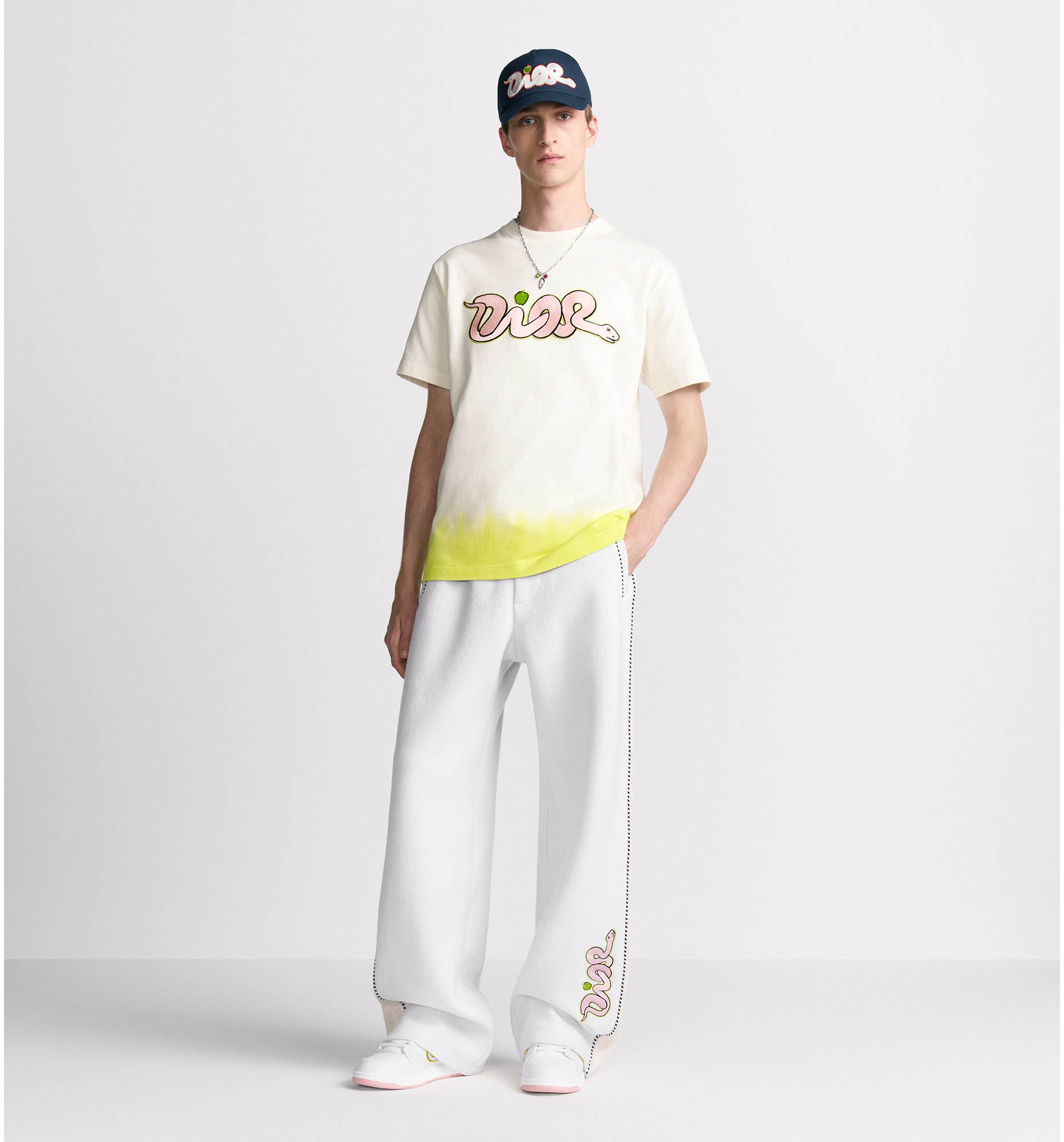 aria_look DIOR AND KAWS T-Shirt, Relaxed Fit Back view