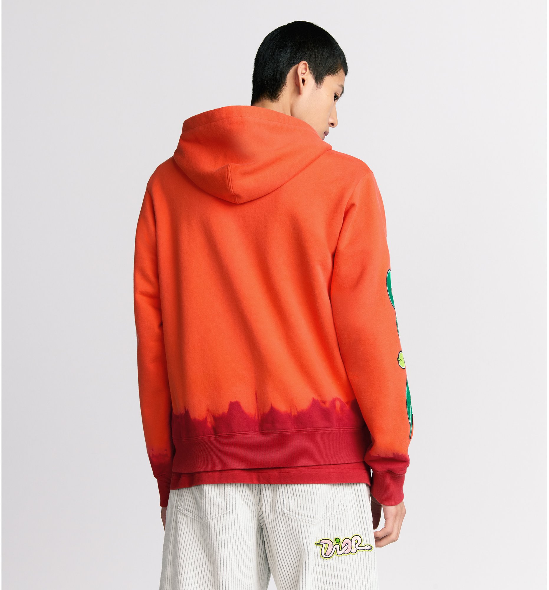 aria_look DIOR AND KAWS Hooded Sweatshirt Three quarter closed view