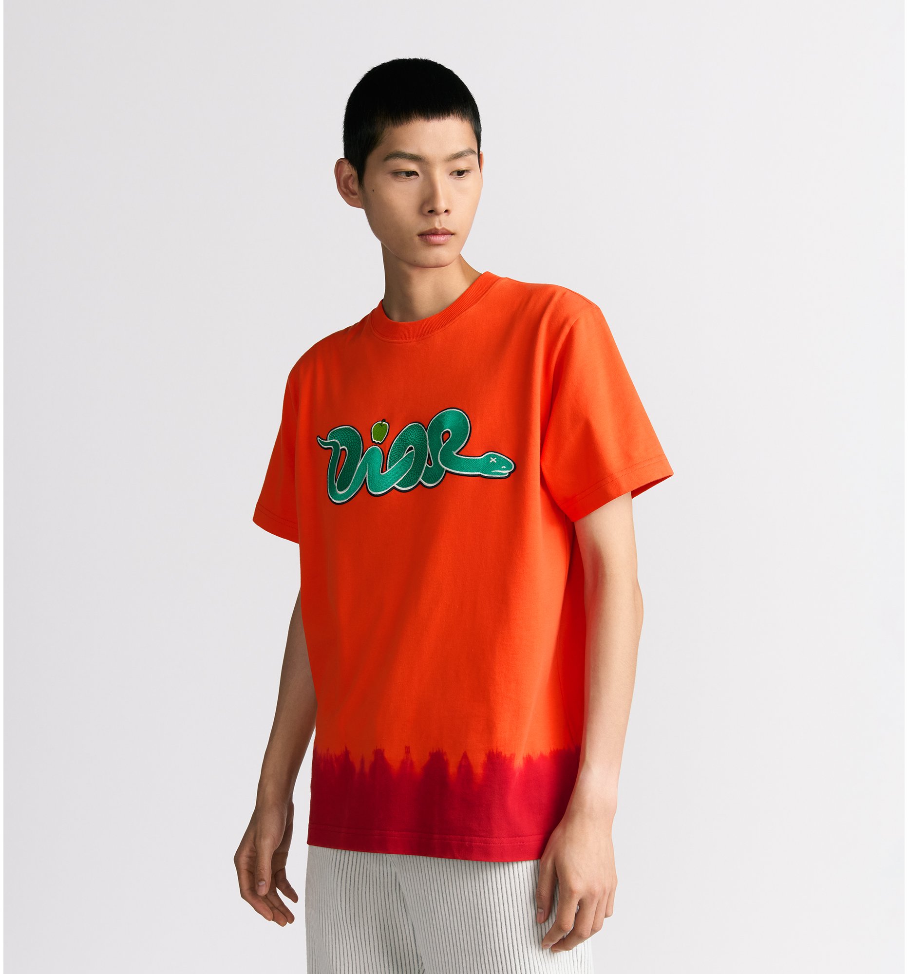 Kaws dior tee new arrivals
