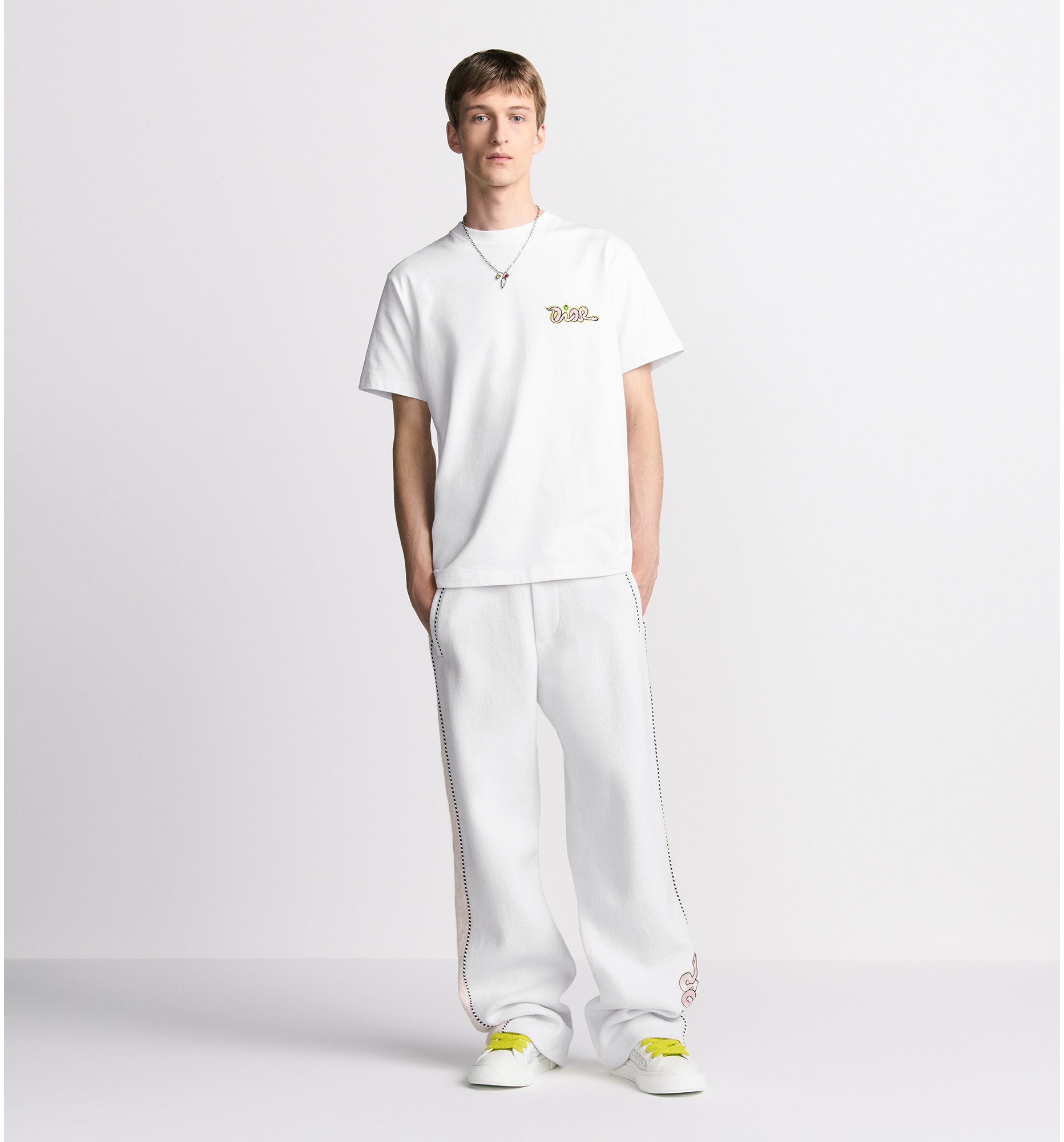 aria_look DIOR AND KAWS T-Shirt, Relaxed Fit Back view