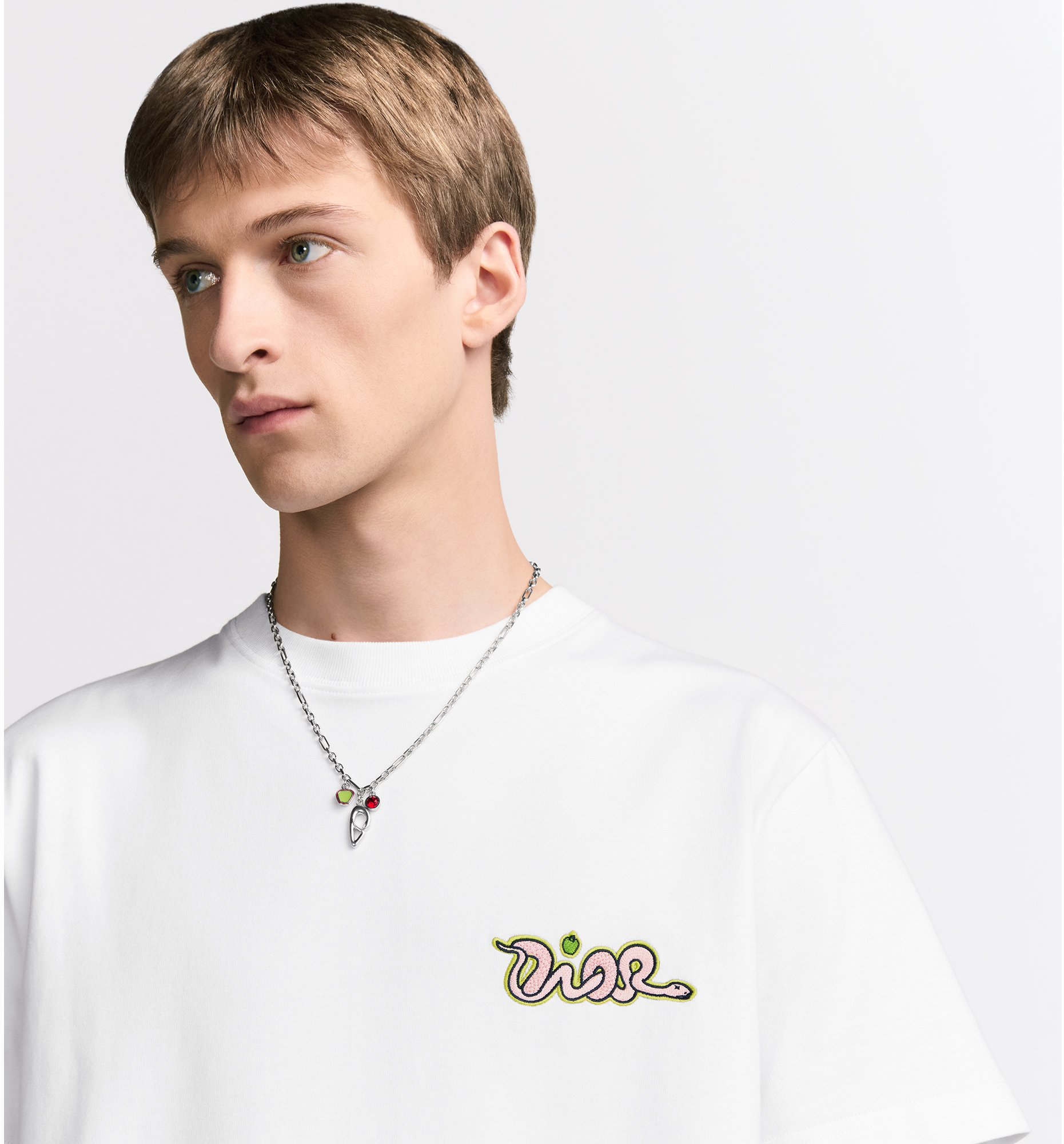 aria_look DIOR AND KAWS T-Shirt, Relaxed Fit Detailed view