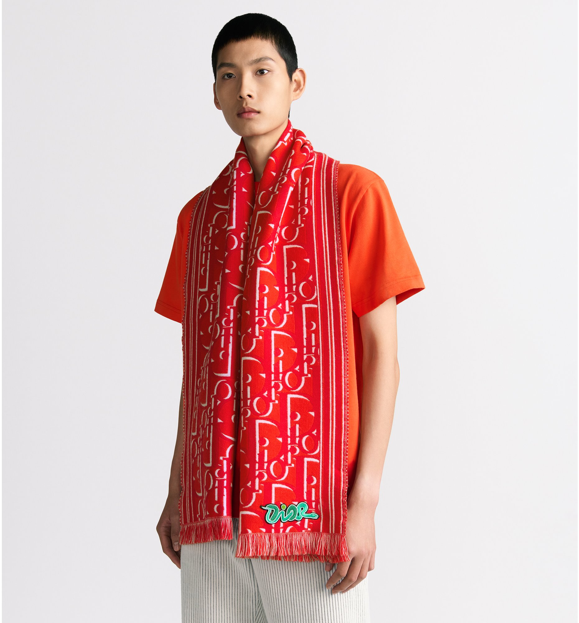 aria_look DIOR AND KAWS Scarf