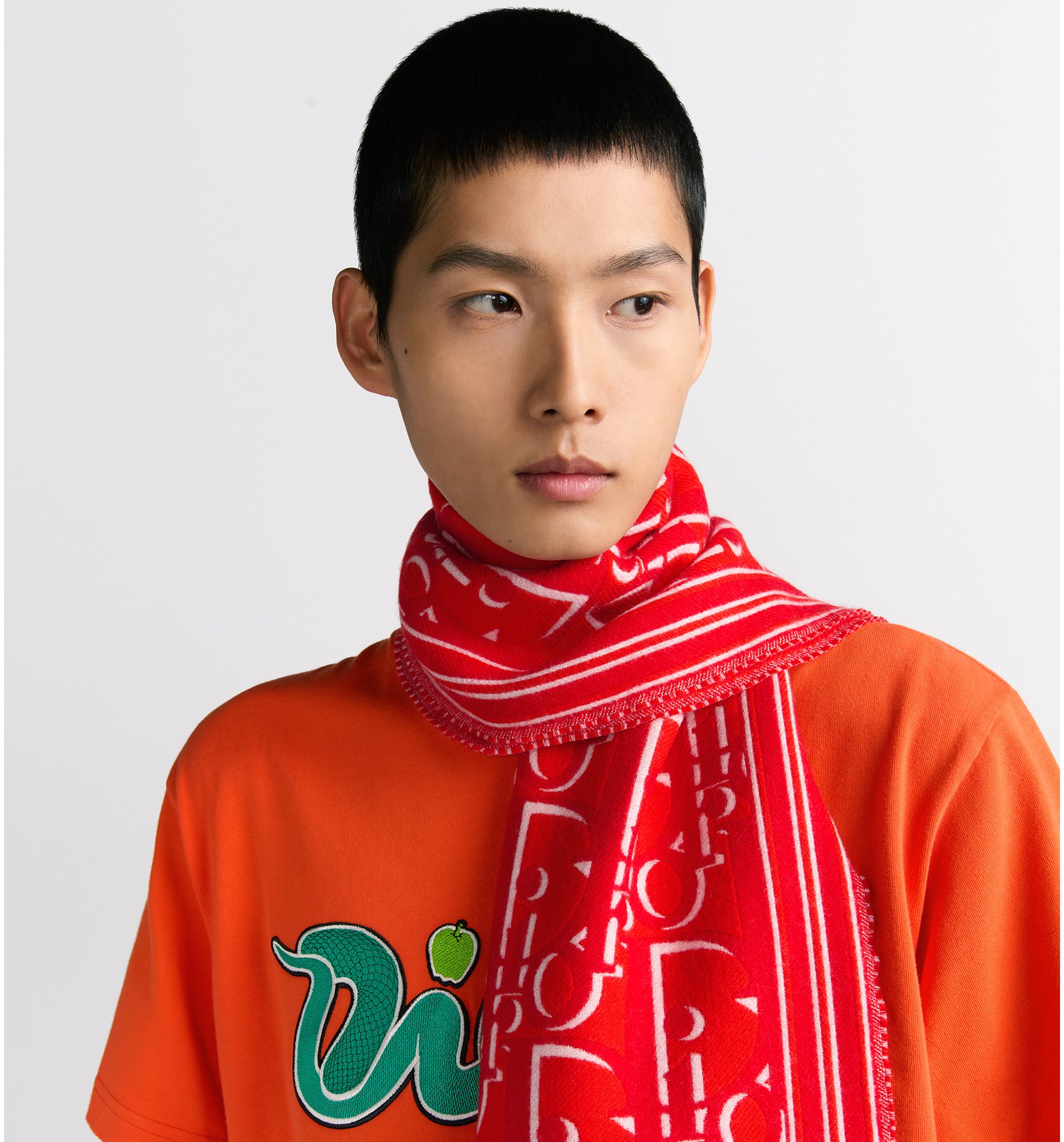 aria_look DIOR AND KAWS Scarf