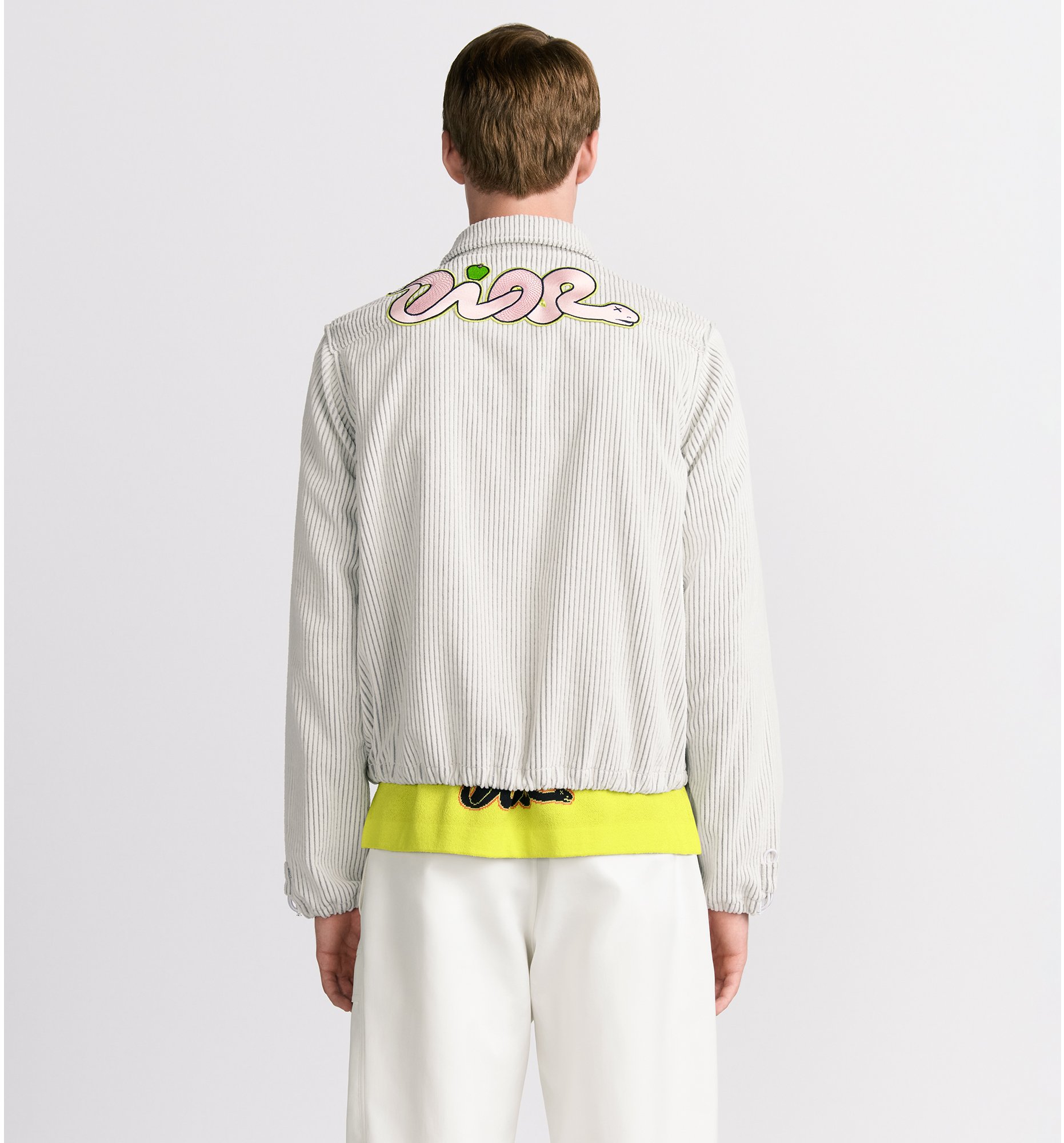 aria_look DIOR AND KAWS Zipped Blouson Jacket Three quarter closed view