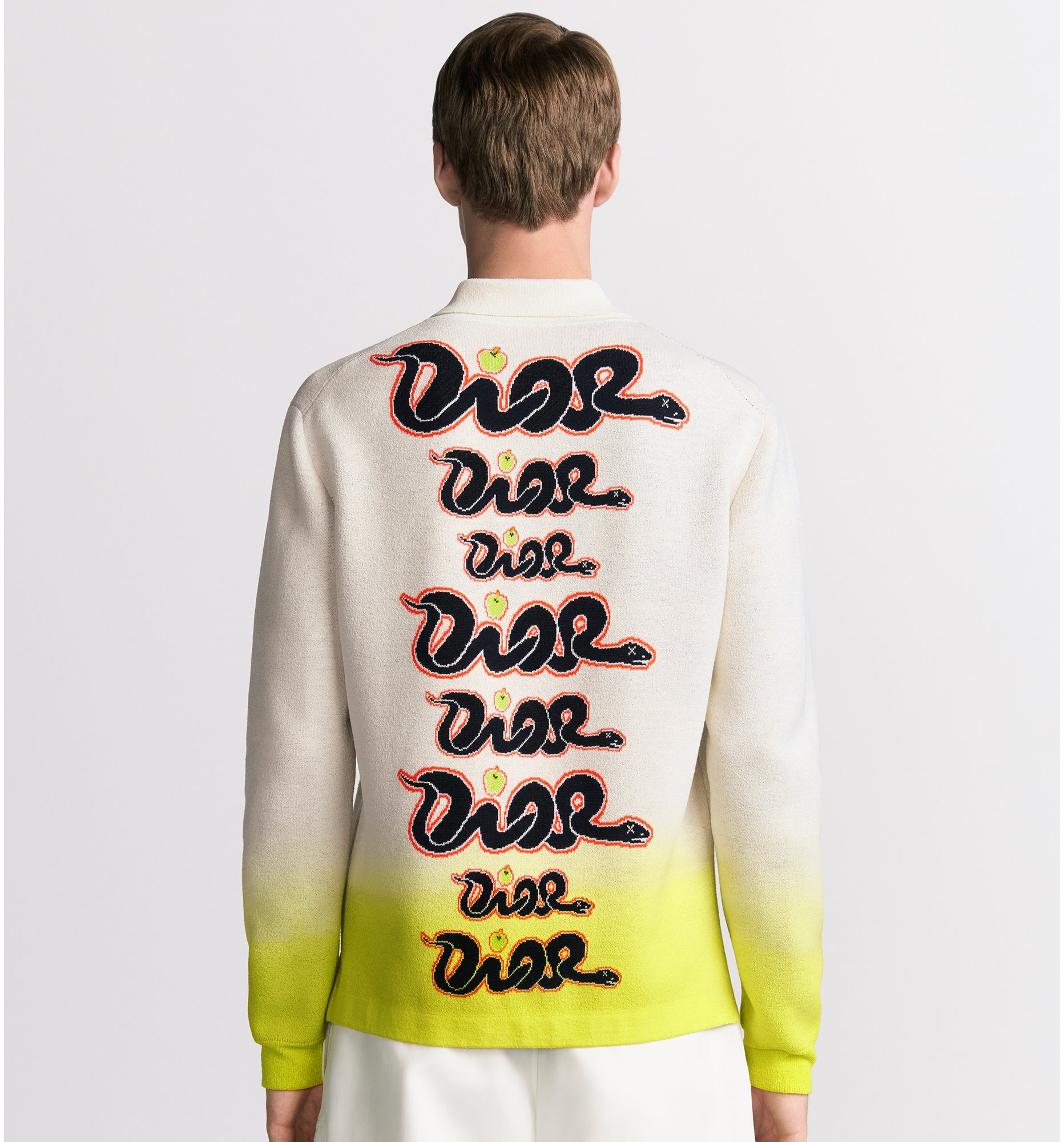 aria_look DIOR AND KAWS 長袖 Polo 恤 aria_detailedView