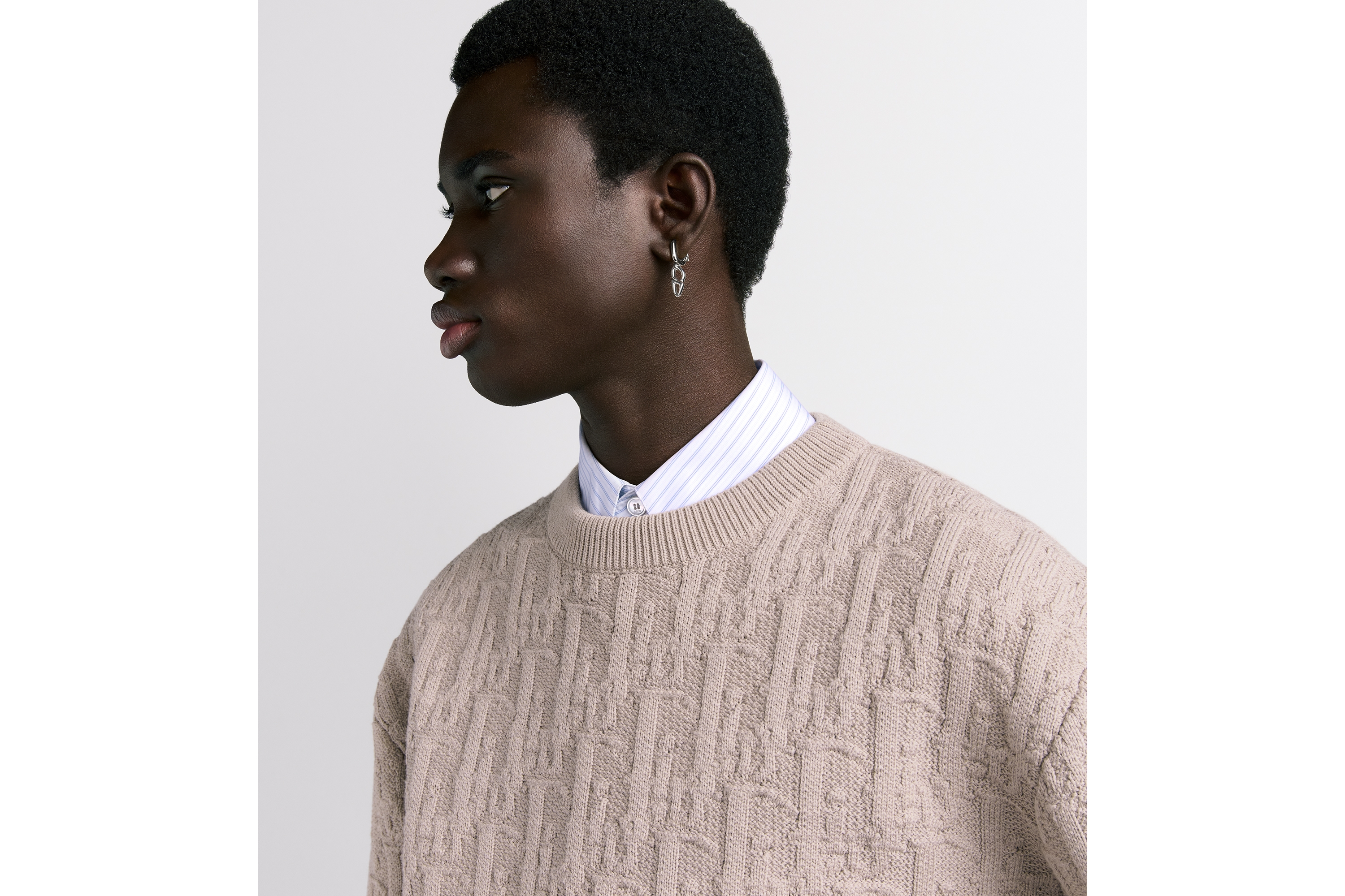 Look Dior Oblique Sweater Beige Cotton-Blend Jacquard E10