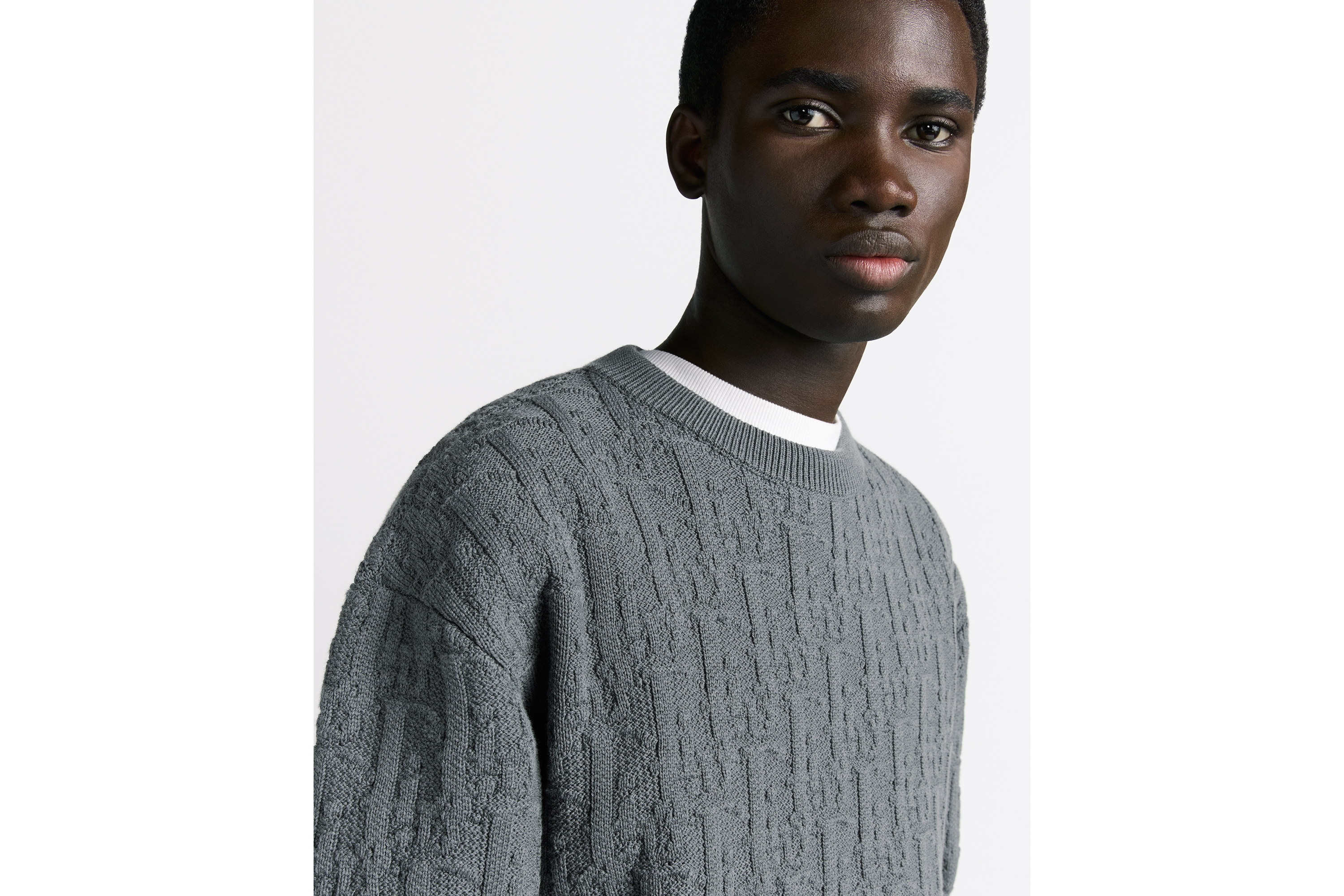 Look Dior Oblique Sweater Gray Cotton-Blend Jacquard E10