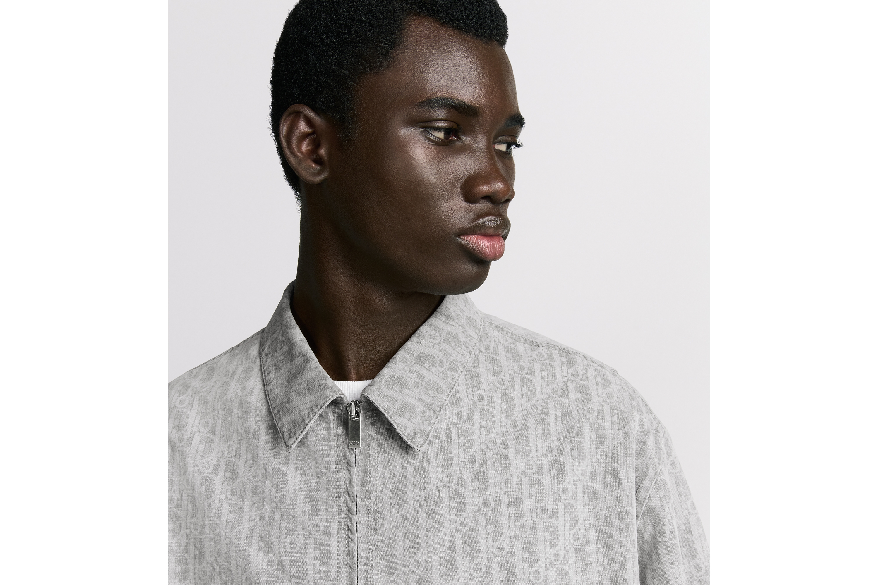 Look Dior Oblique Zipped Blouson Jacket Gray Cotton Denim E04