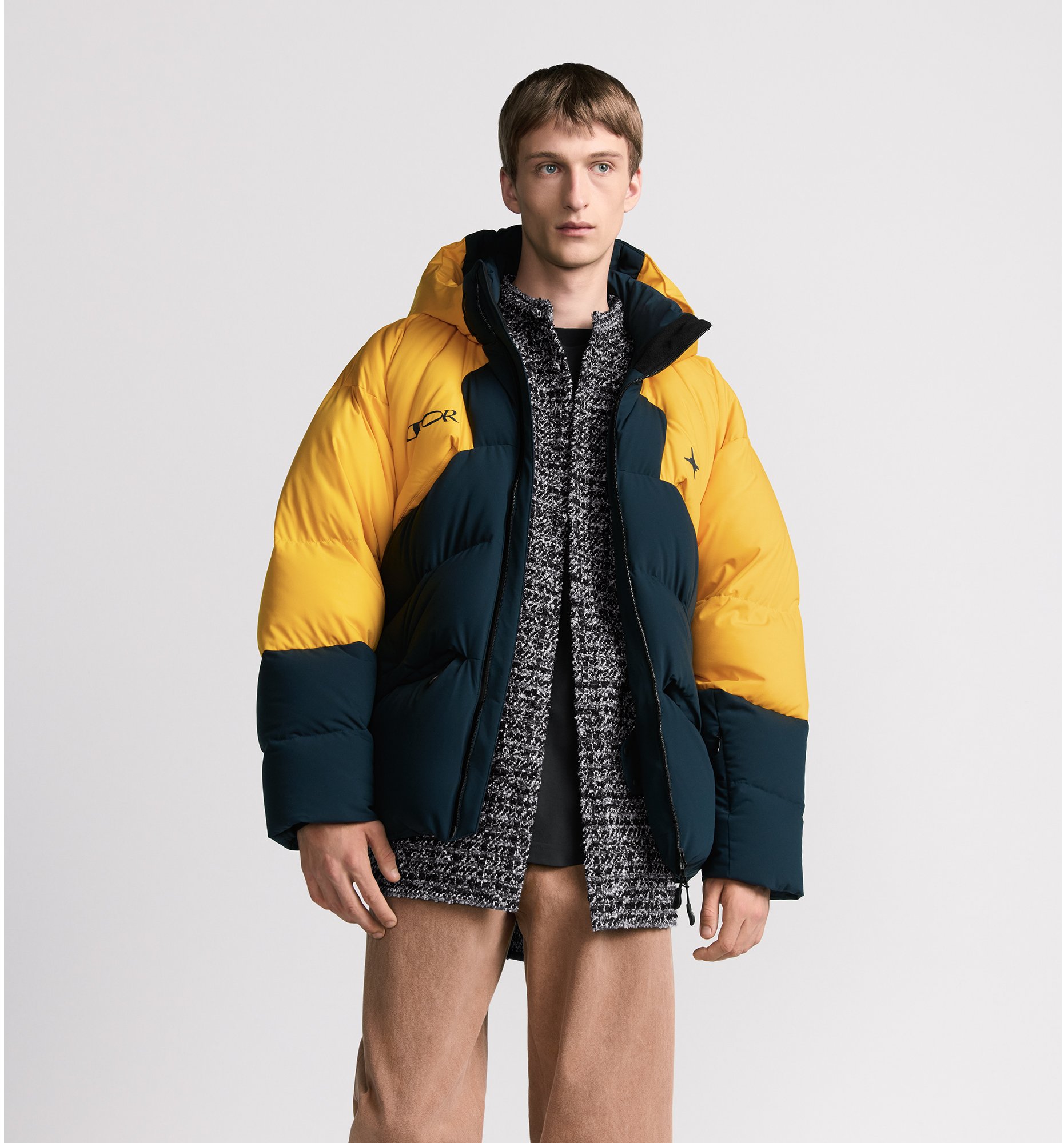 DIOR AND DESCENTE AND LEWIS HAMILTON キルティング パファー スキージャケット
