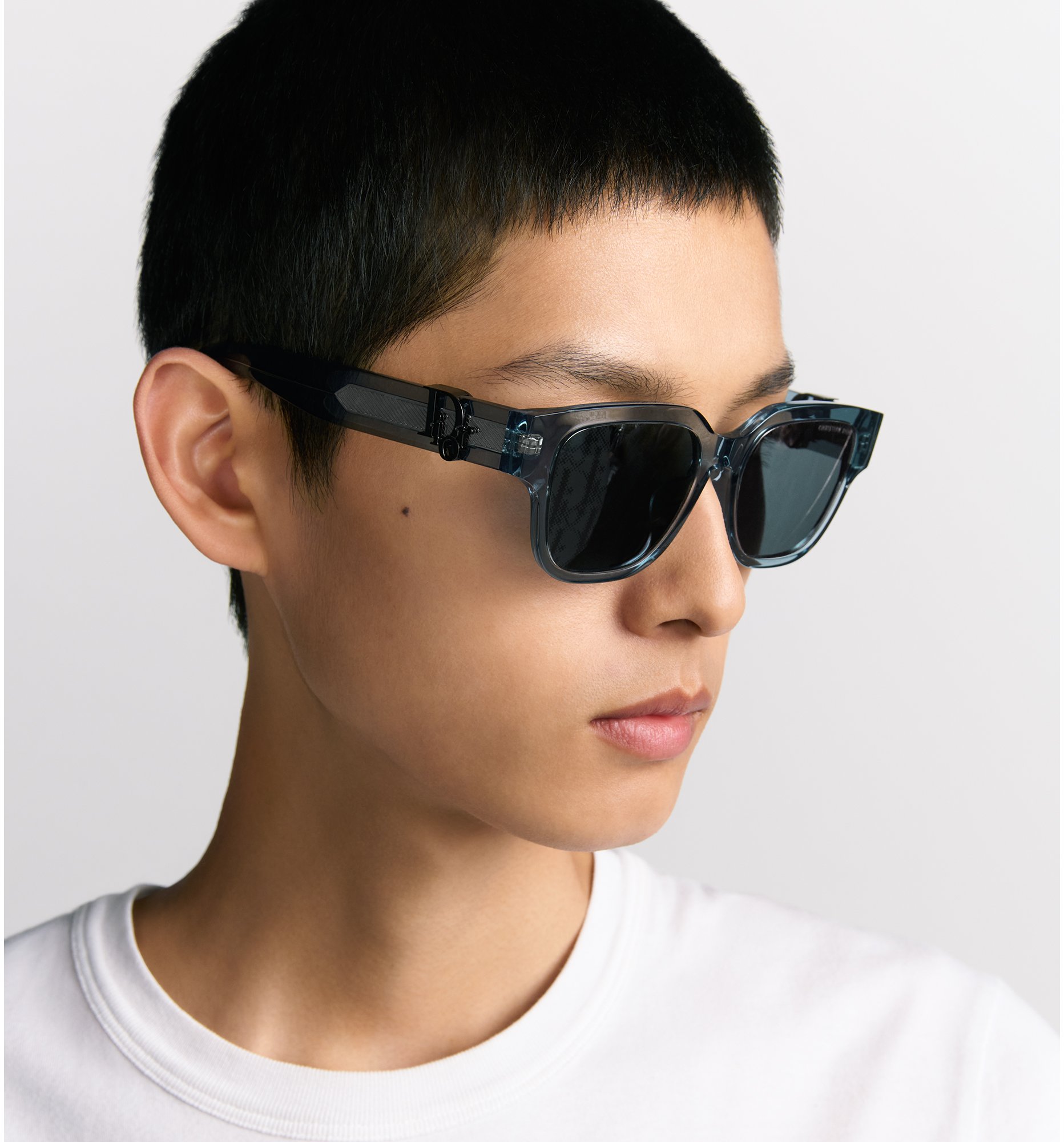aria_look DiorOblique S1F