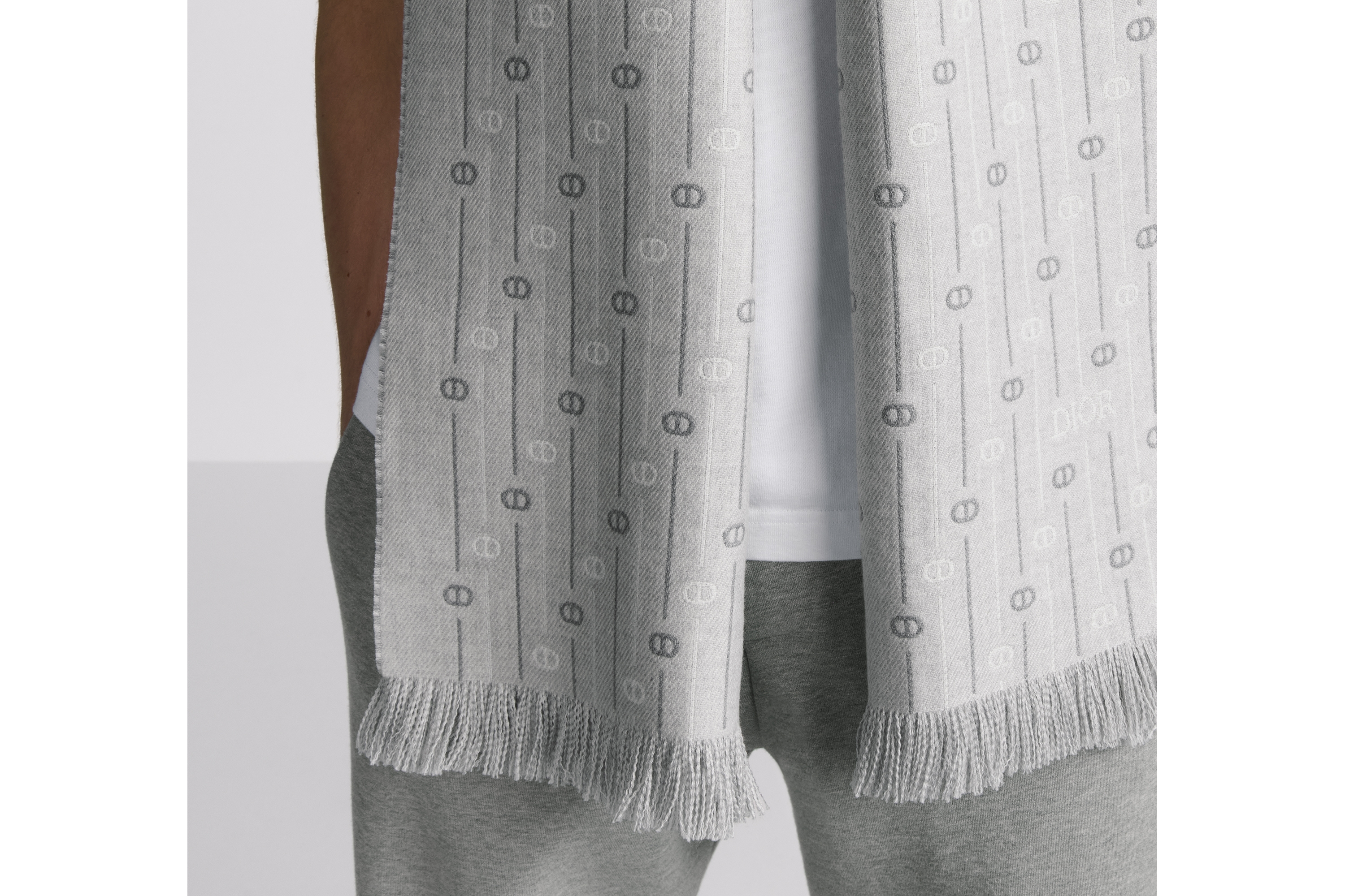 Look CD Icon Striped Scarf Gray Wool E33