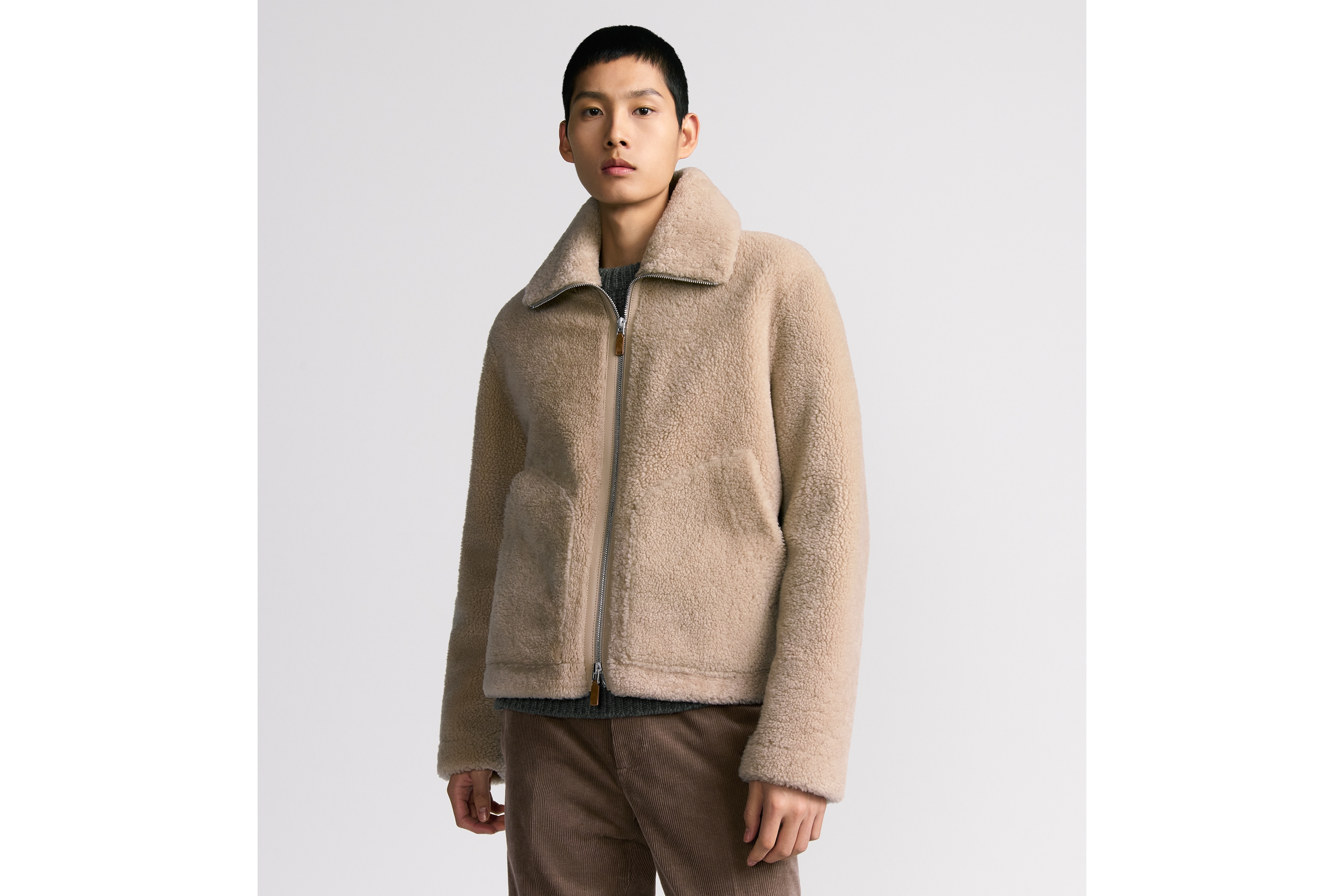 Look Blouson Dior Icons Peau lainée d'agneau beige E01