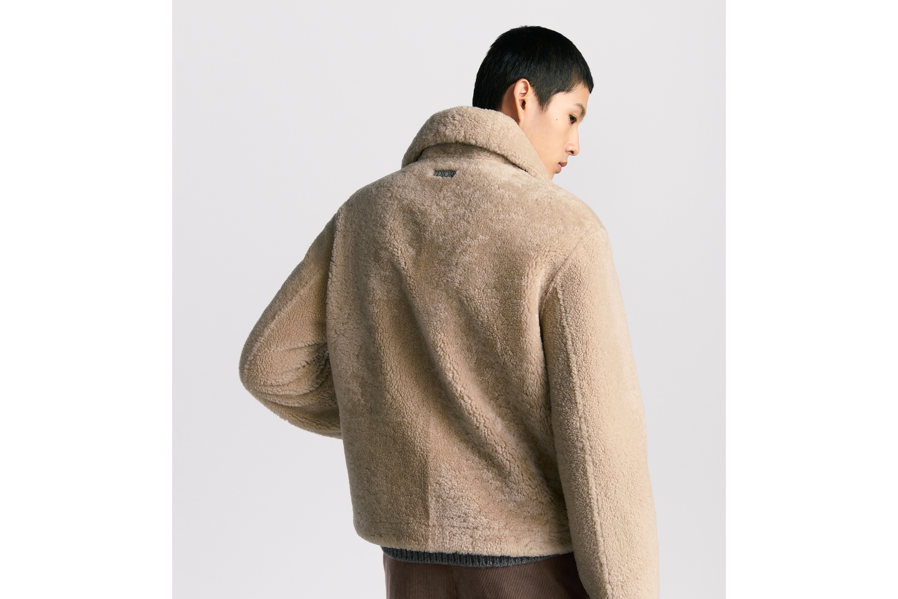 Look Blouson Dior Icons Peau lainée d'agneau beige E03