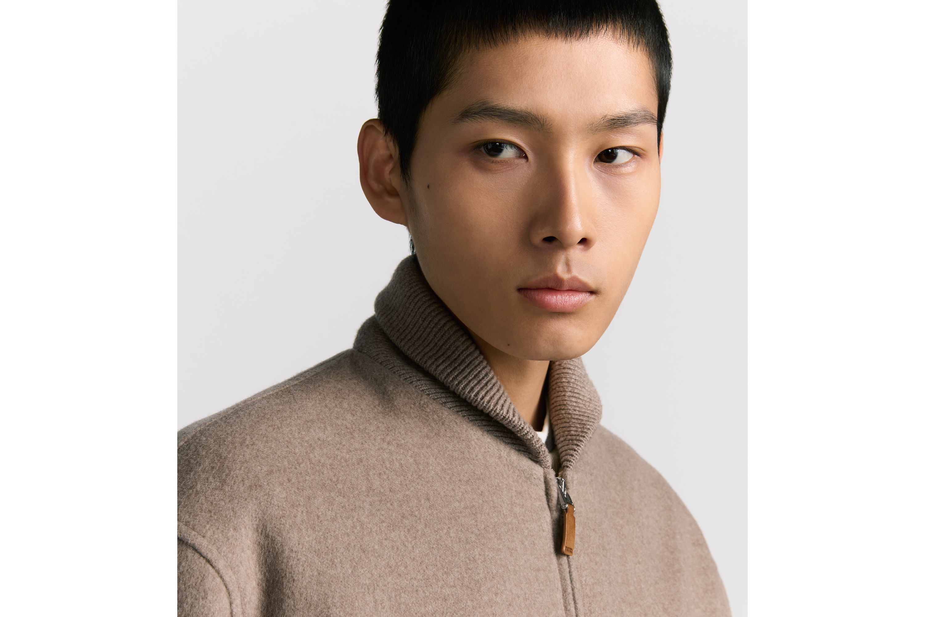 look_image_alt_prefix Dior Icons-bomberjack Beige kasjmier E04