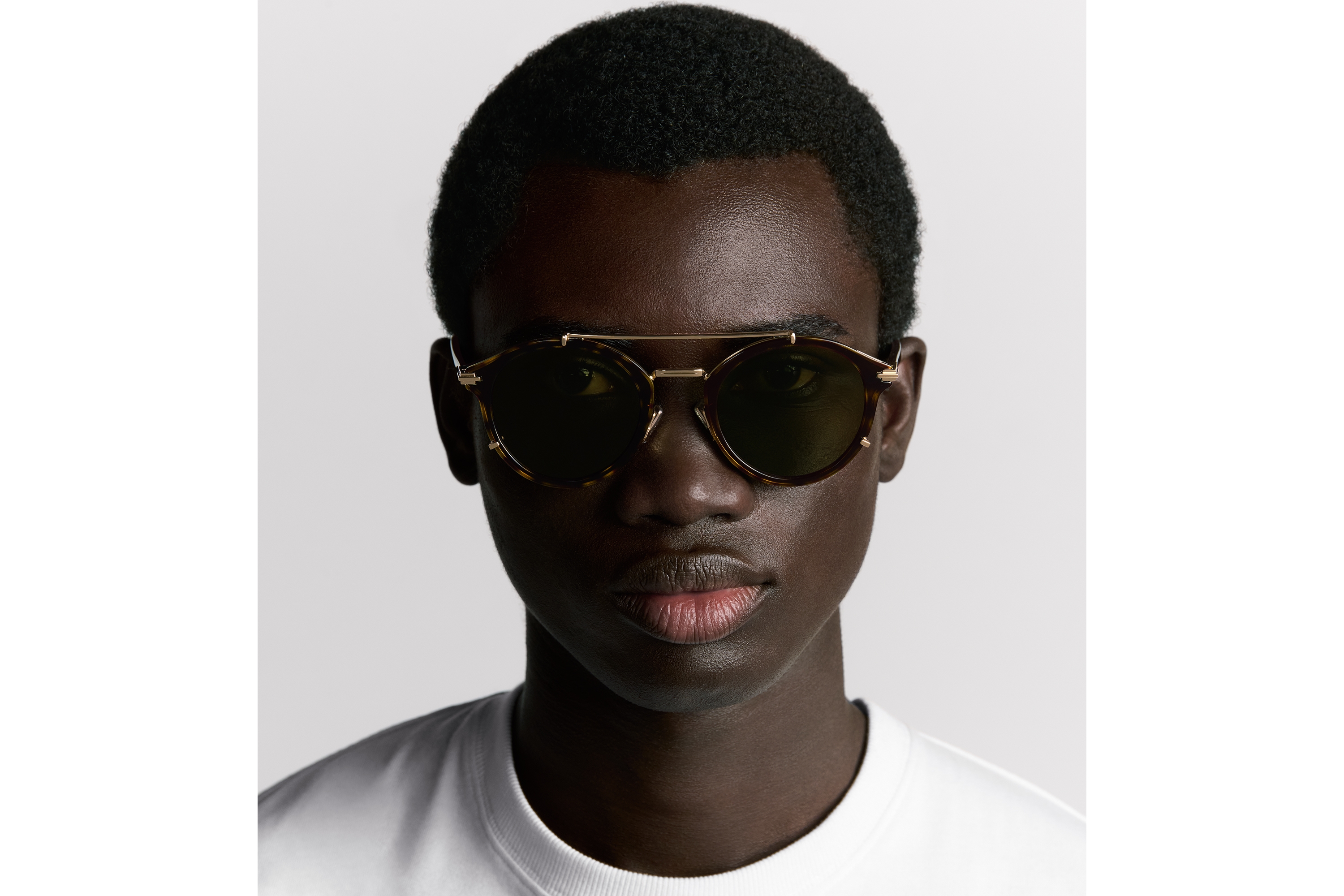 look_image_alt_prefix DiorBlackSuit R7U BioAcetate Pantos-Sonnenbrille mit Schildpattoptik in Braun E29