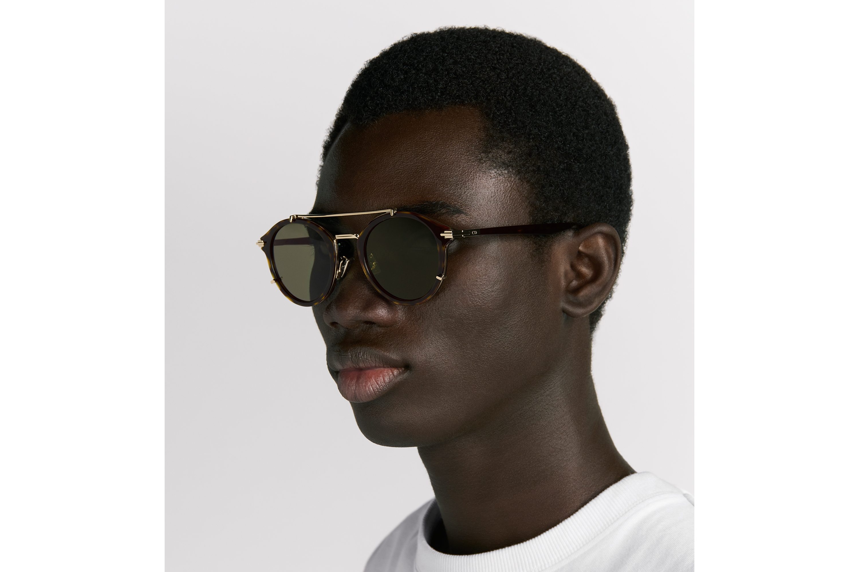 look_image_alt_prefix DiorBlackSuit R7U BioAcetate Pantos-Sonnenbrille mit Schildpattoptik in Braun E30